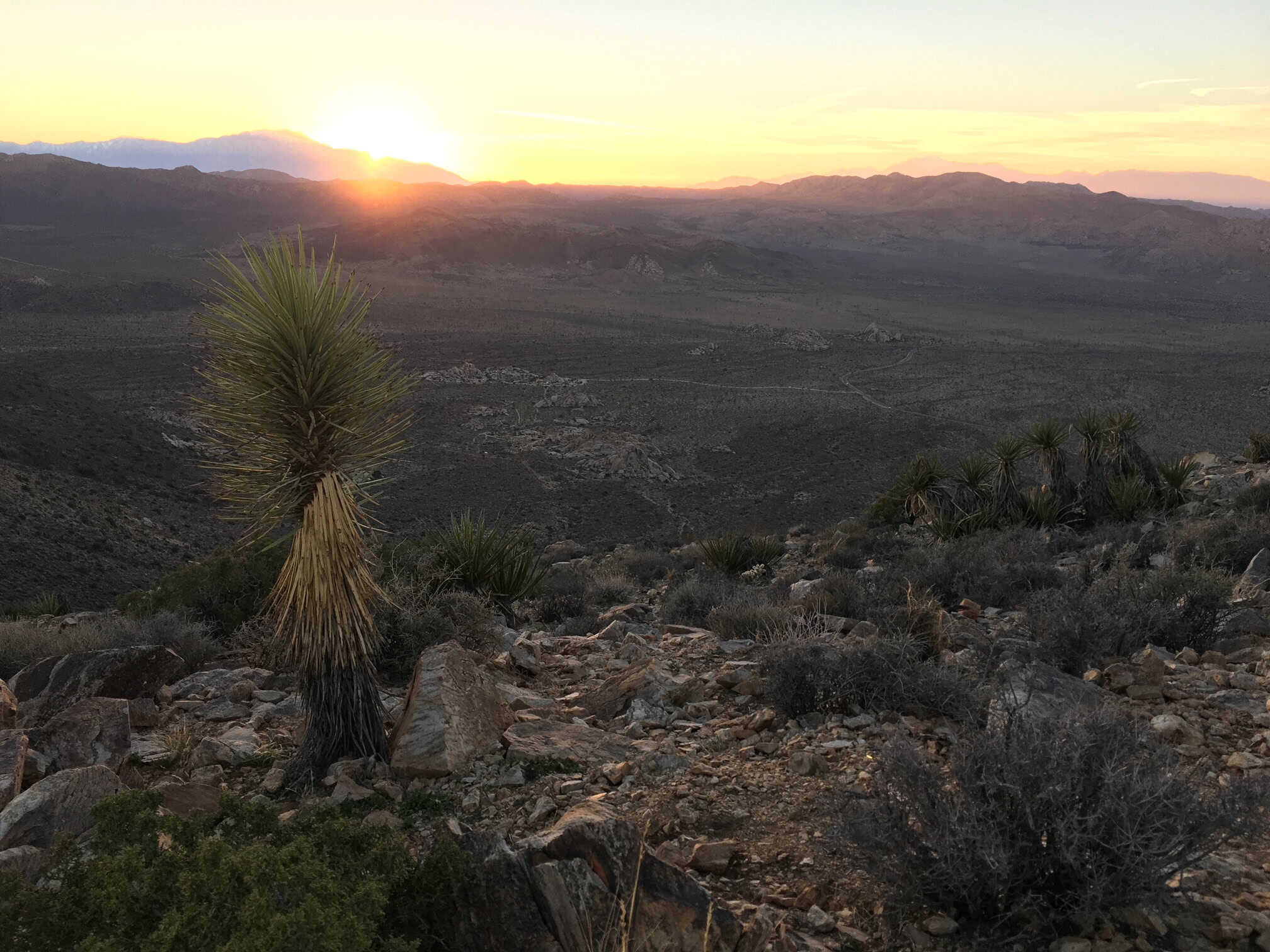 Ryan Mountain's summit is best climbed at sunset