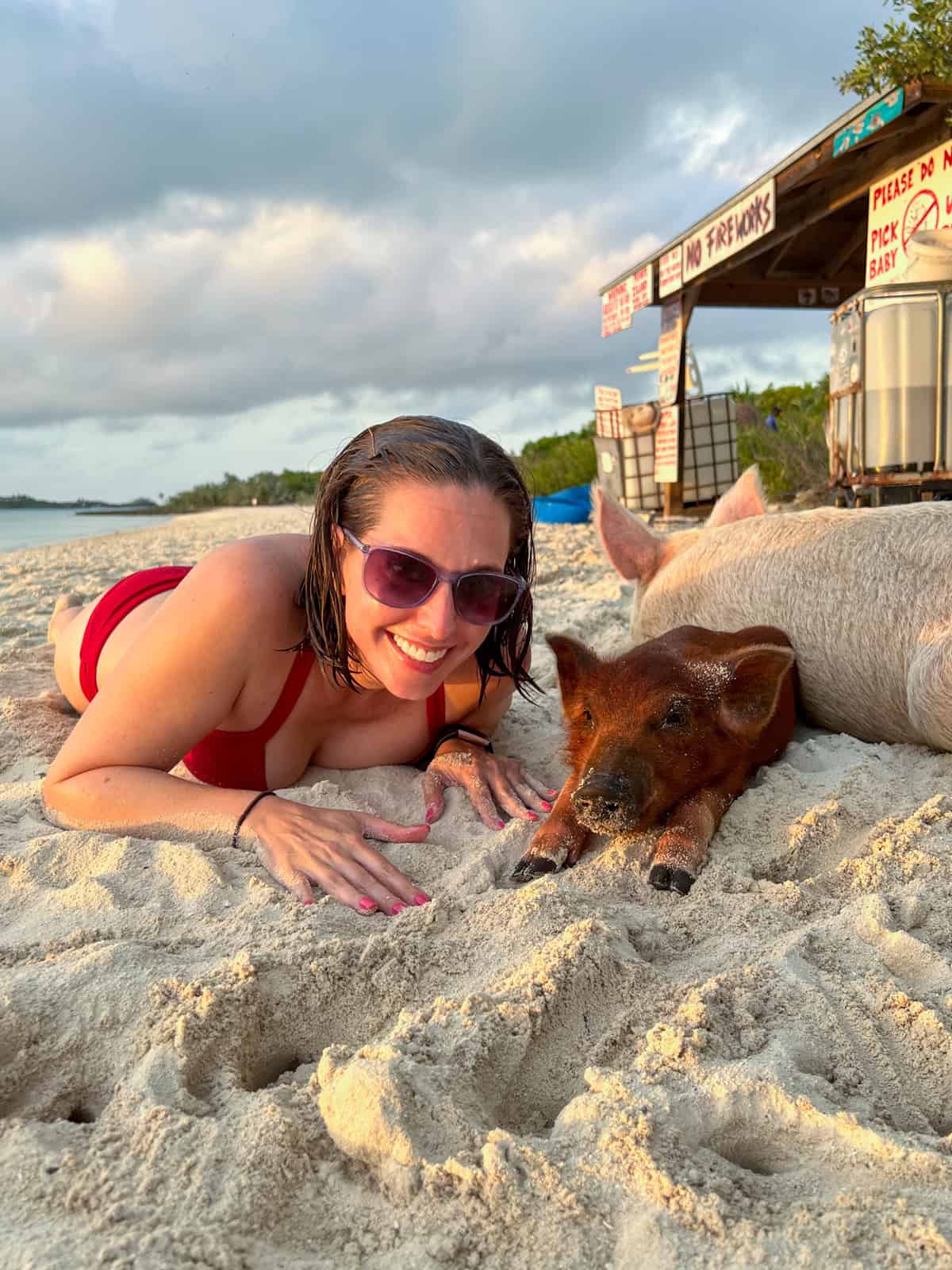 Kel laying with a piglet