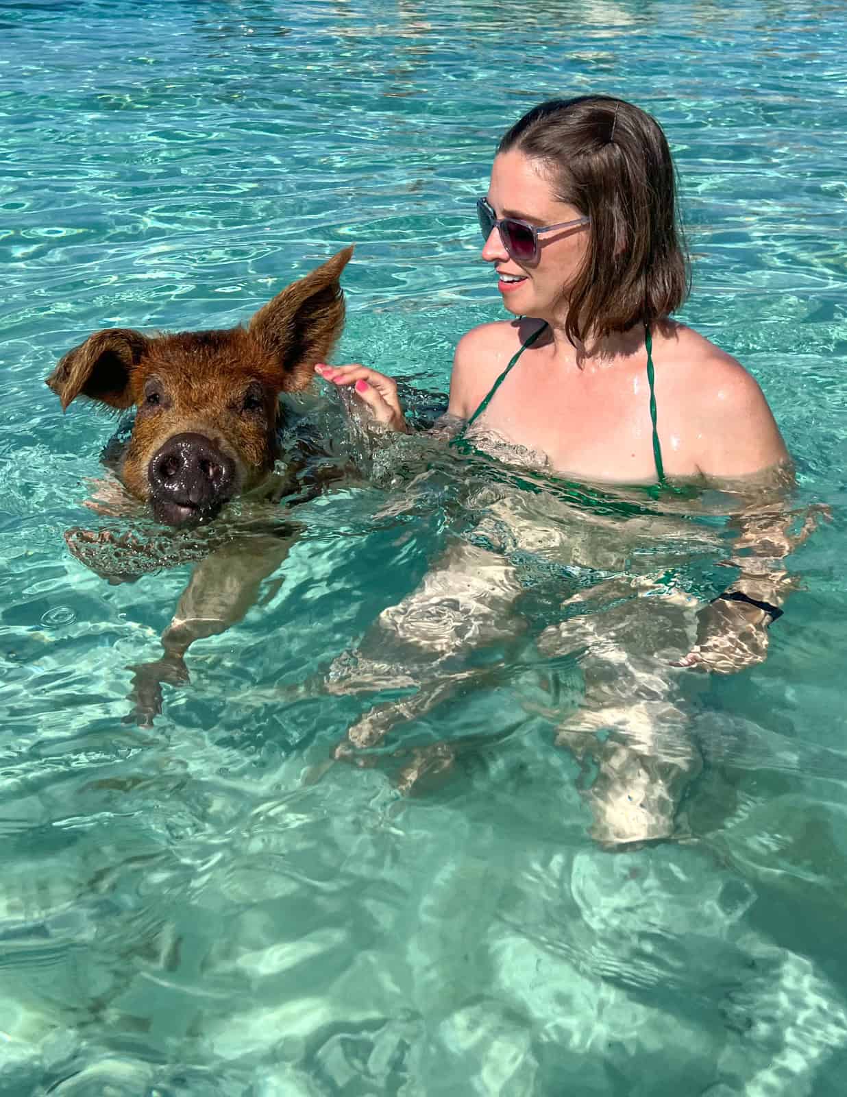 Kel pets a swimming pig