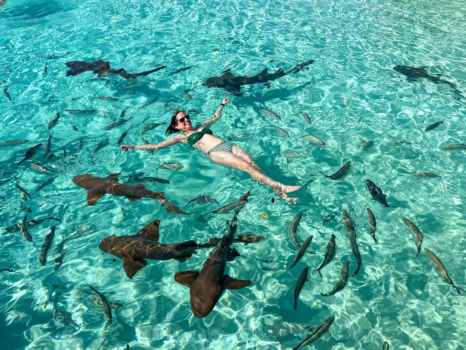 Kelly floats with nurse sharks