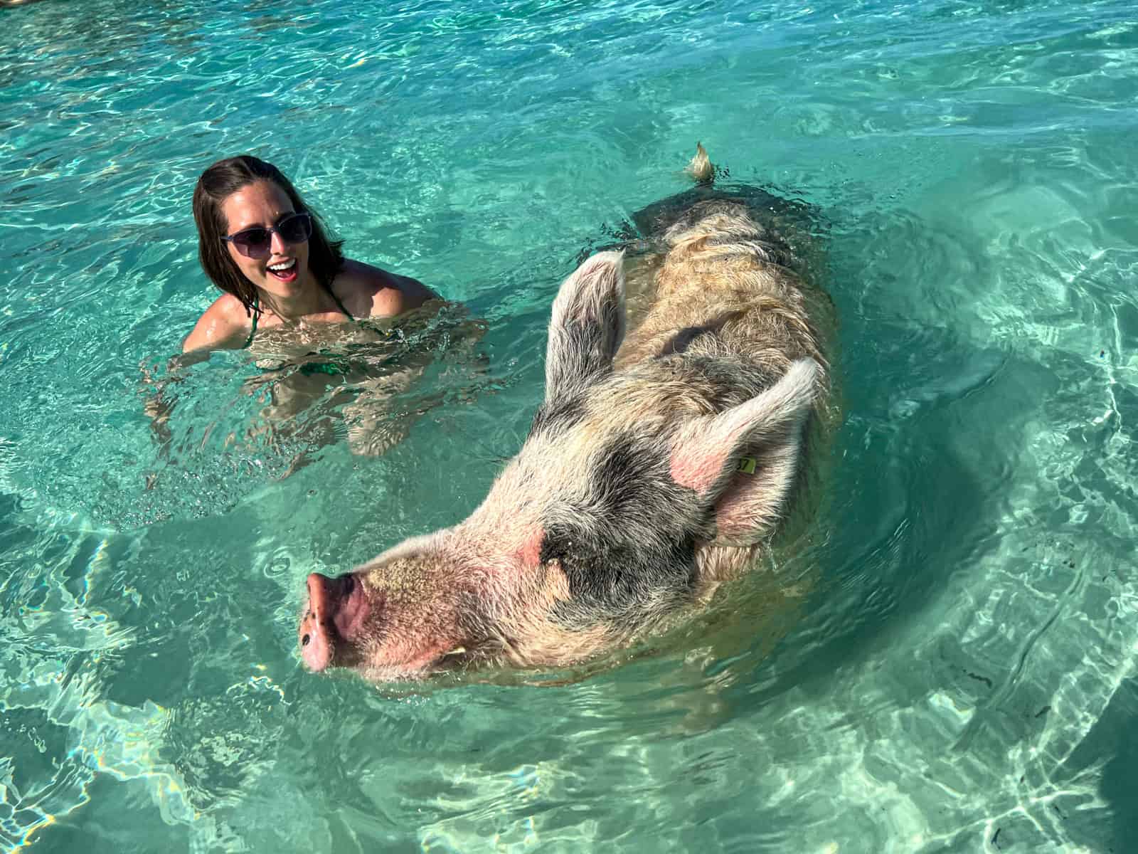 Kel swimming with Oscar the pig