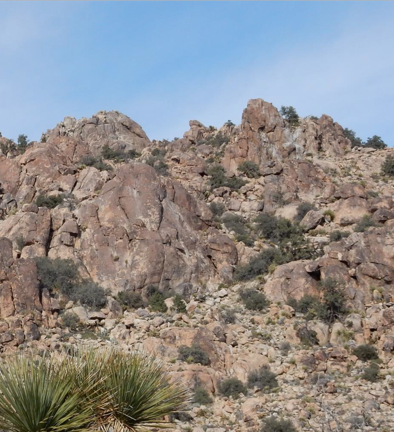 Near the summit of Queen Mountain in Joshua Tree National Park