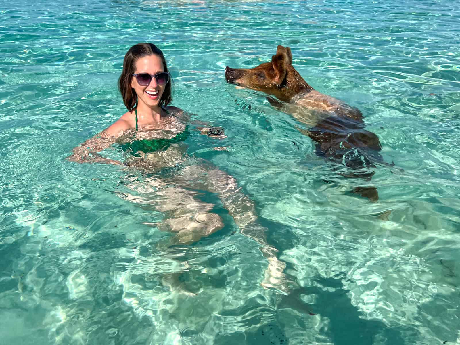 A pig swims circles around Kel at Pig Island in The Bahamas