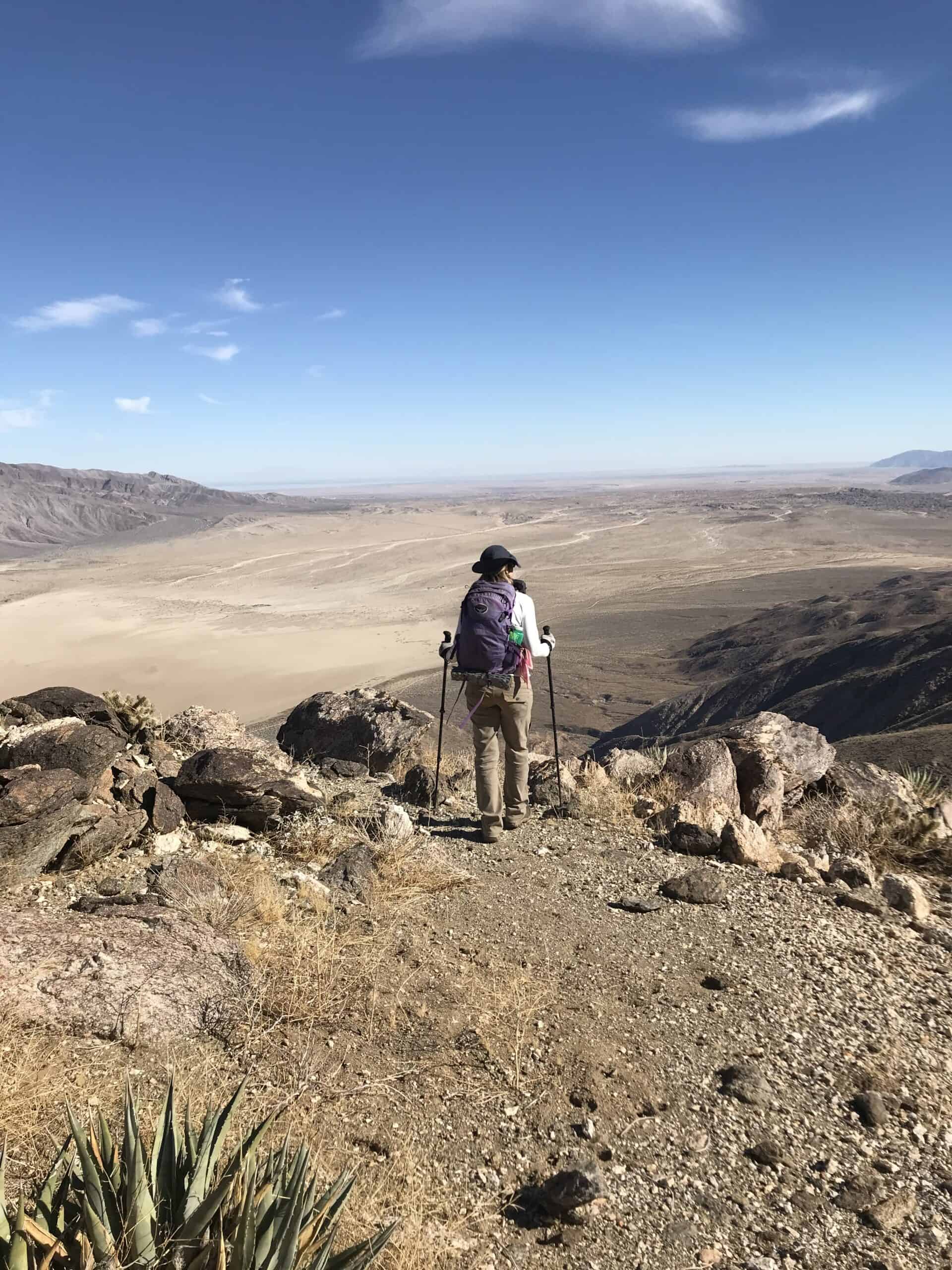 The view from the top of Coyote Peak