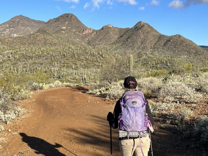 Hiking near Phoenix, Arizona