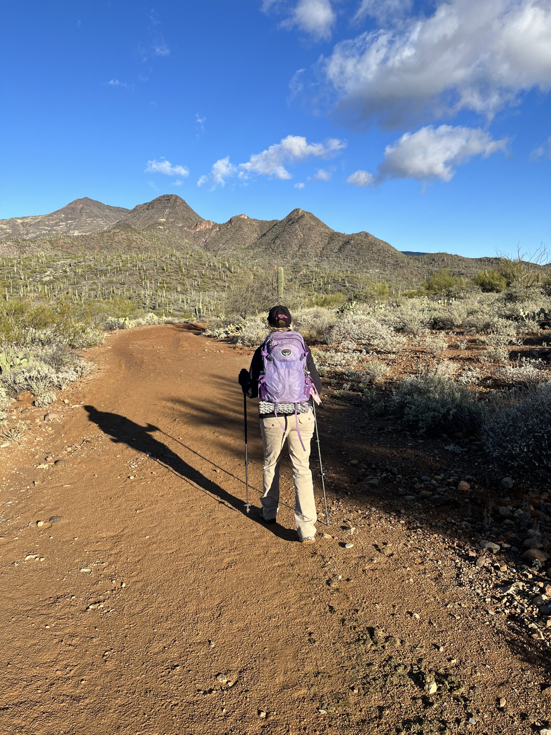 A cold, early morning New Year's Day start hiking in the Spur Cross Ranch Conservation Area near Phoenix, AZ.