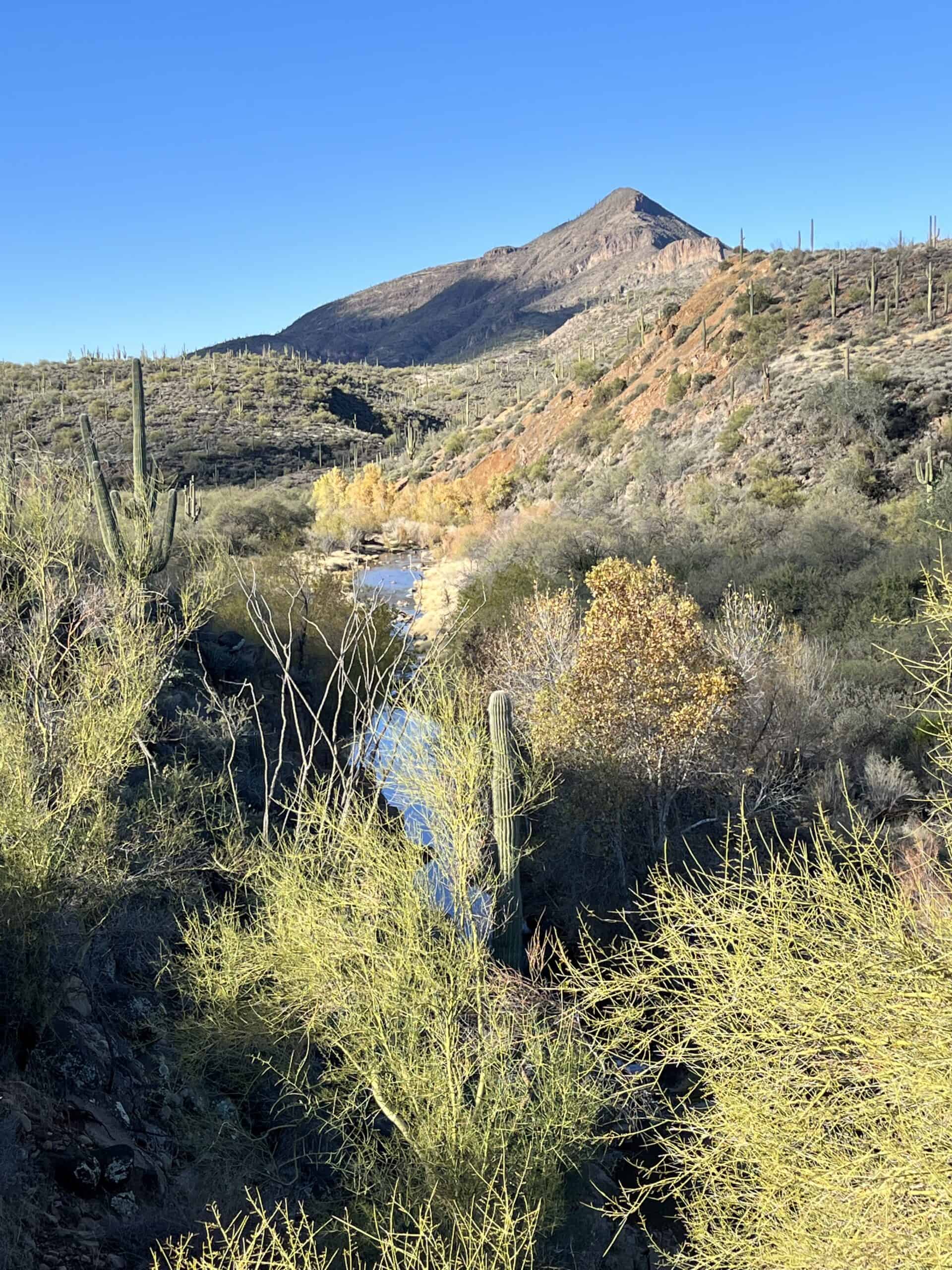 Cave Creek runs through the desert around Phoenix, Arizona