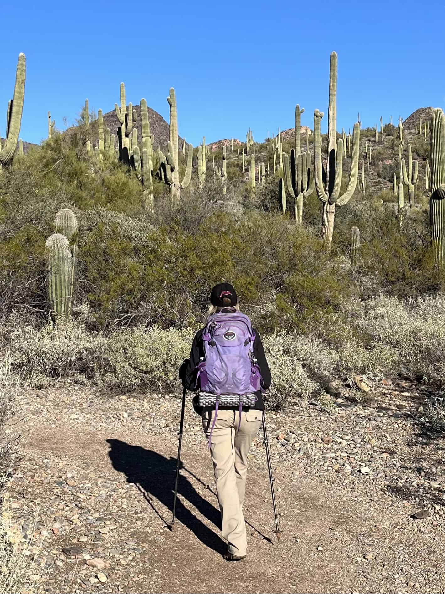 CT hiking the easy section of Tortuga Trail