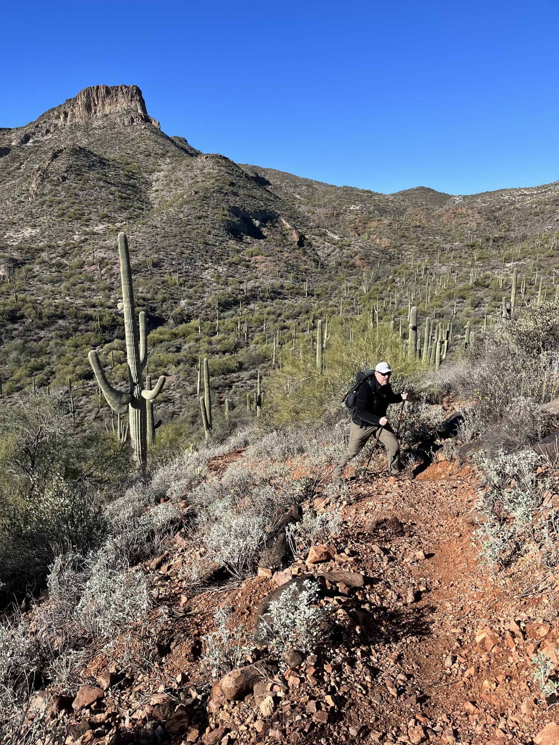 Elephant Mountain Trail