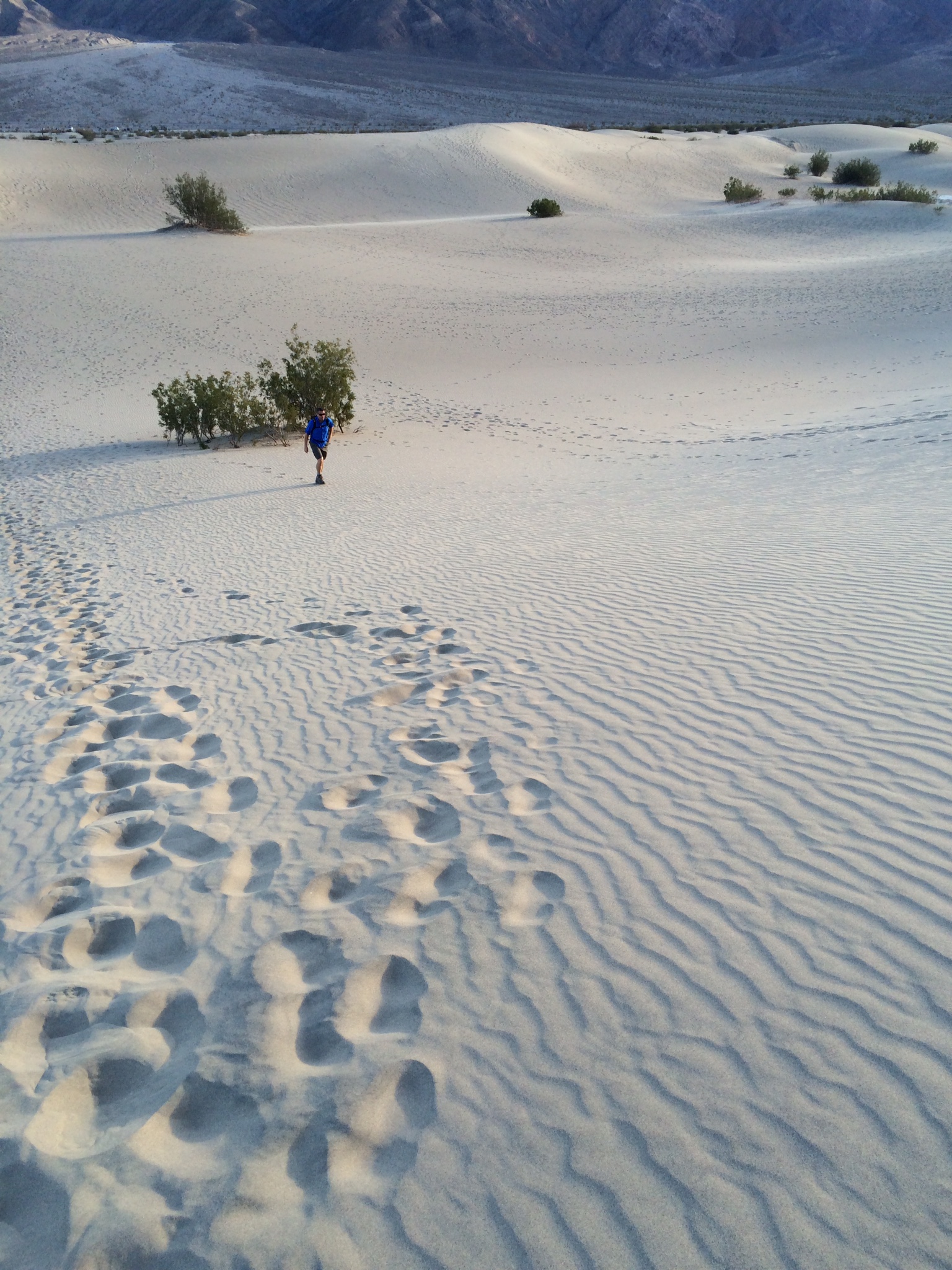 Hiking sand dunes