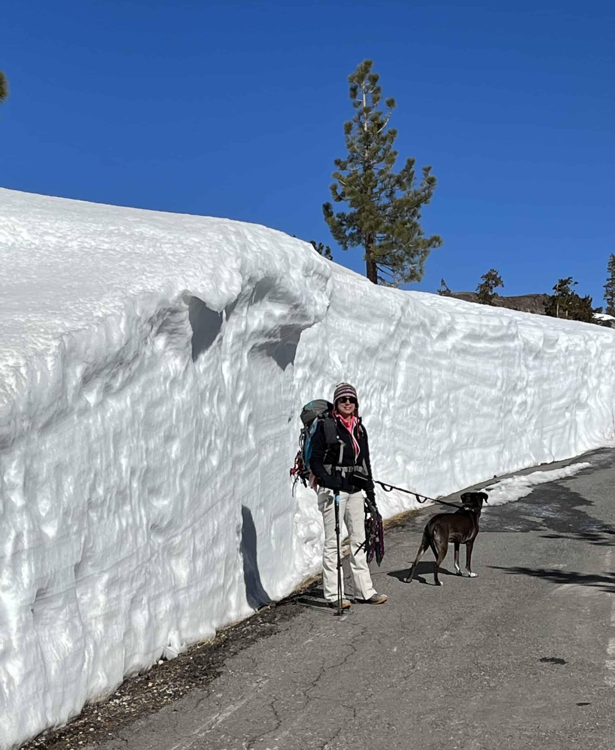 Snow depths at Donner Pass