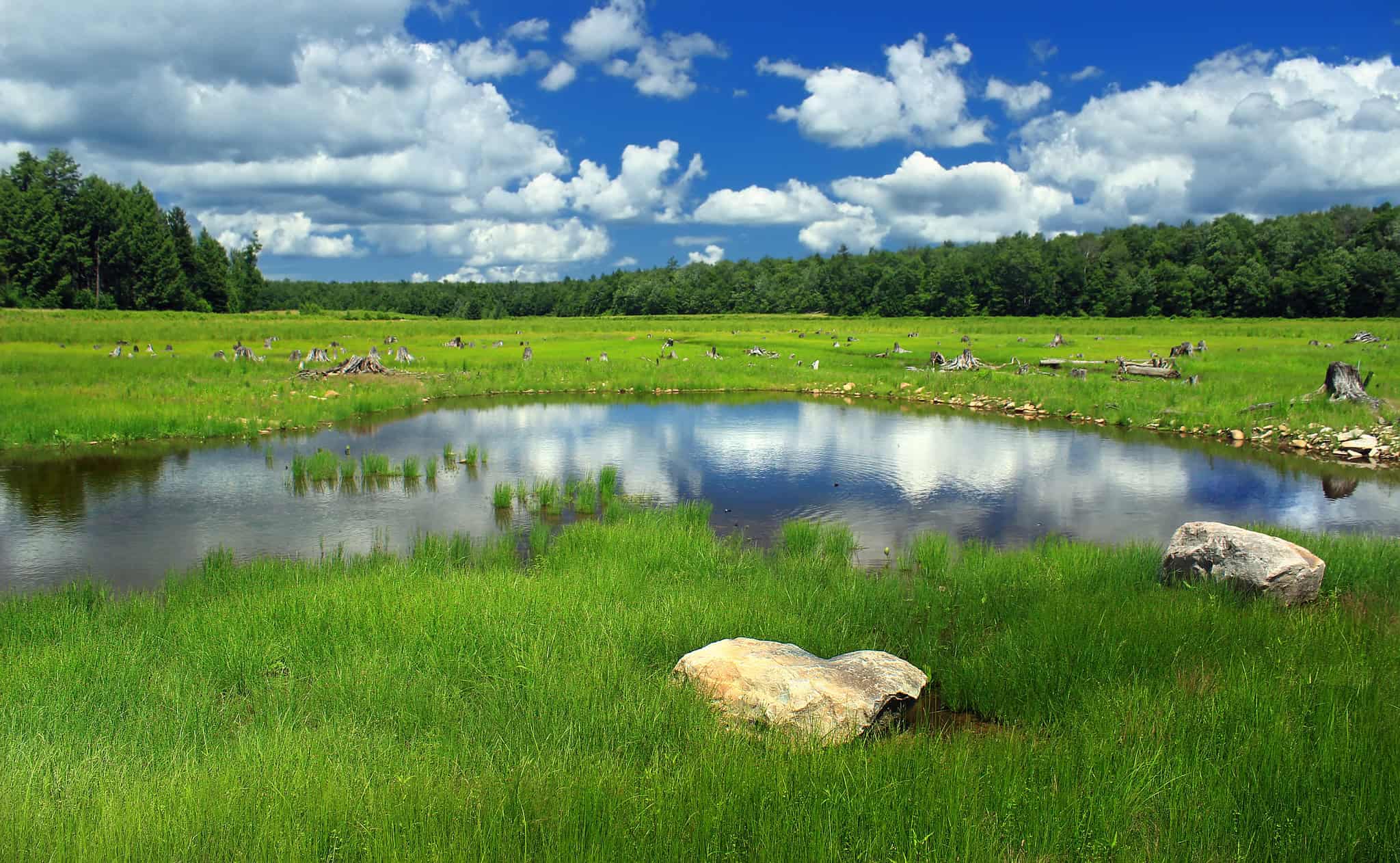 Lower Klondike Pond (photo: Nicholas A. Tonelli)