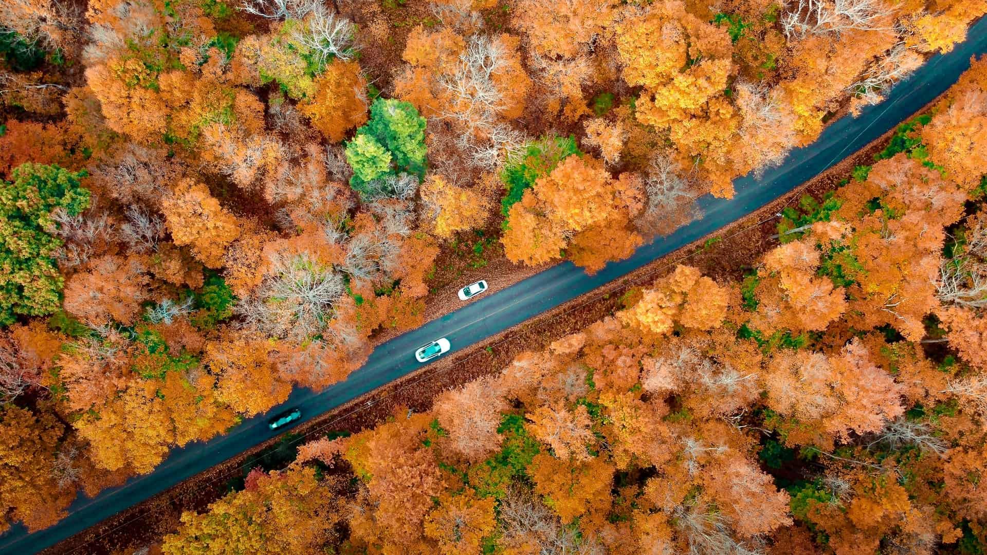 Fall colors in the Pocono Mountains (photo: Manoj Kulkarni)