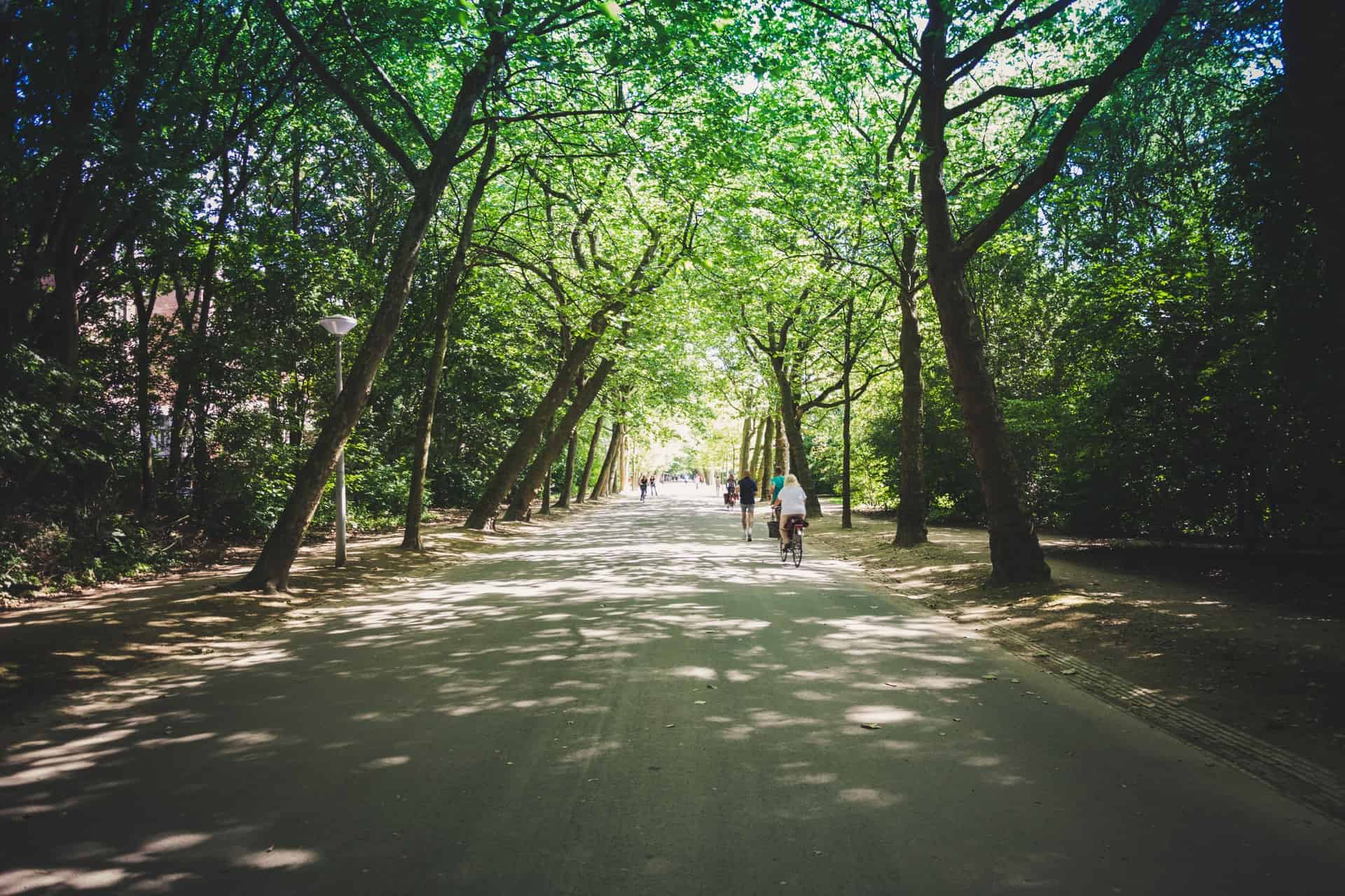 Vondelpark bike path (photo: Hung Tran)