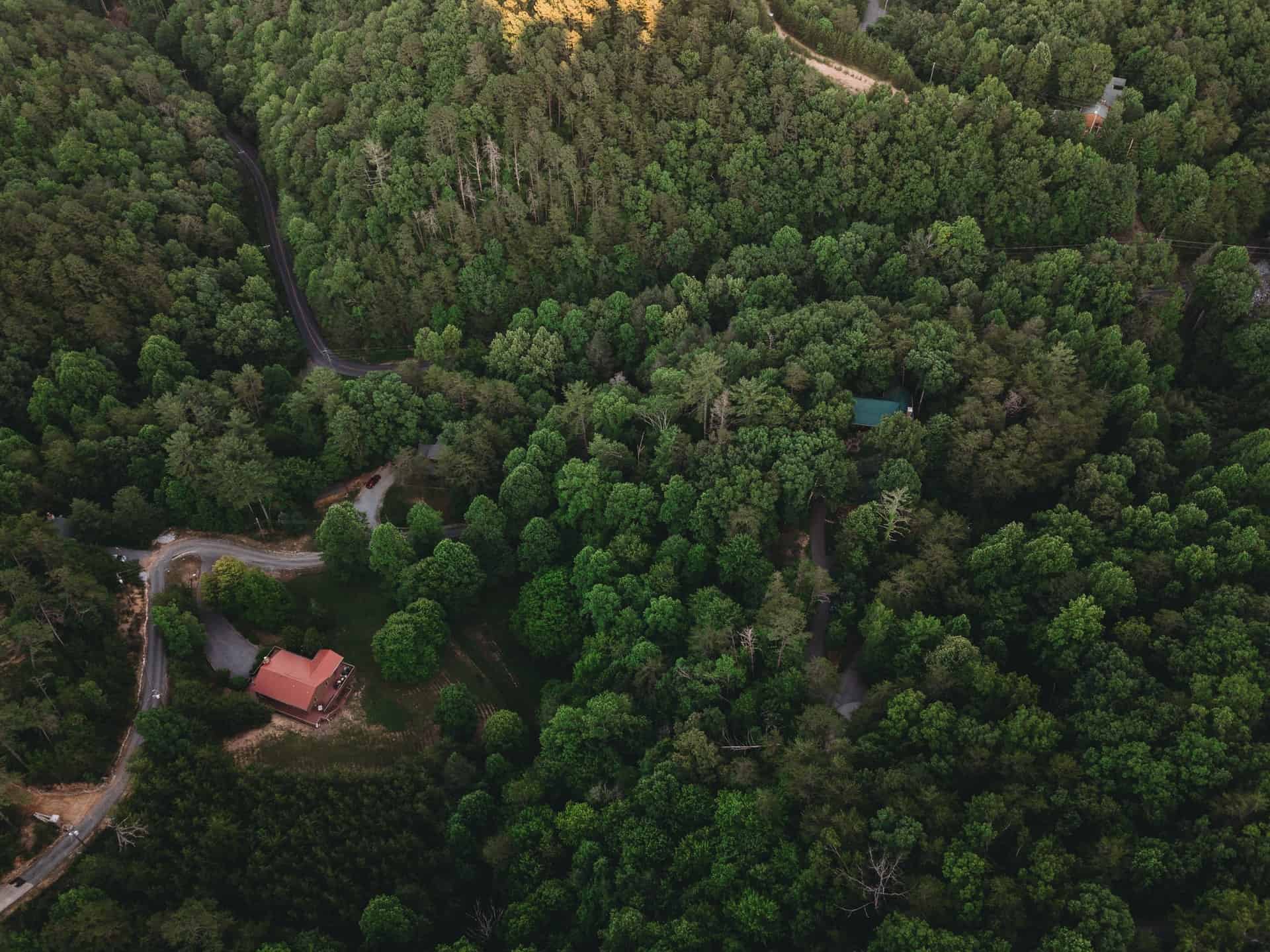 Cabin - Pigeon Forge, TN (photo: Steven Van Elk)