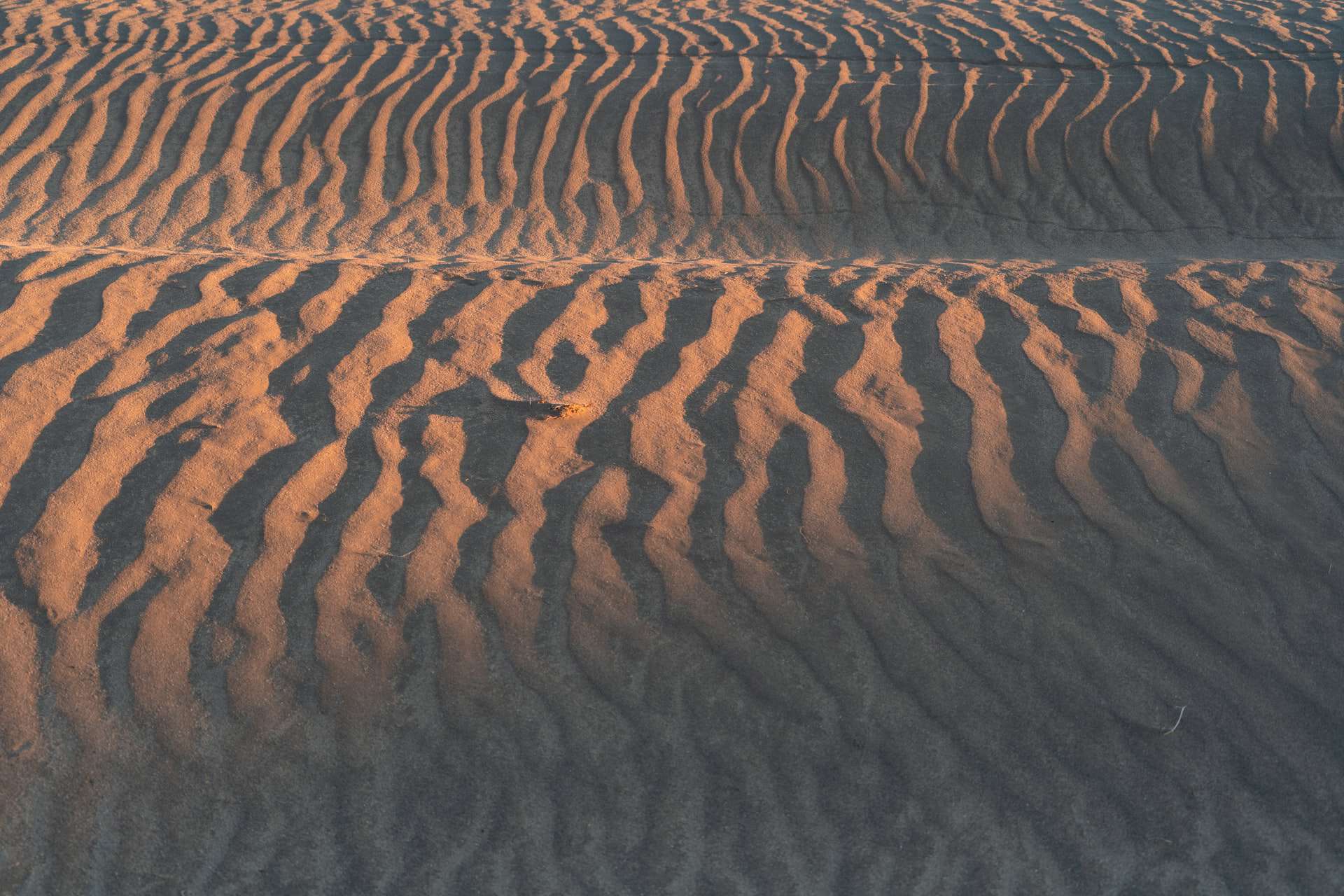 Christmas Valley Sand Dunes (photo: Dan Meyers)