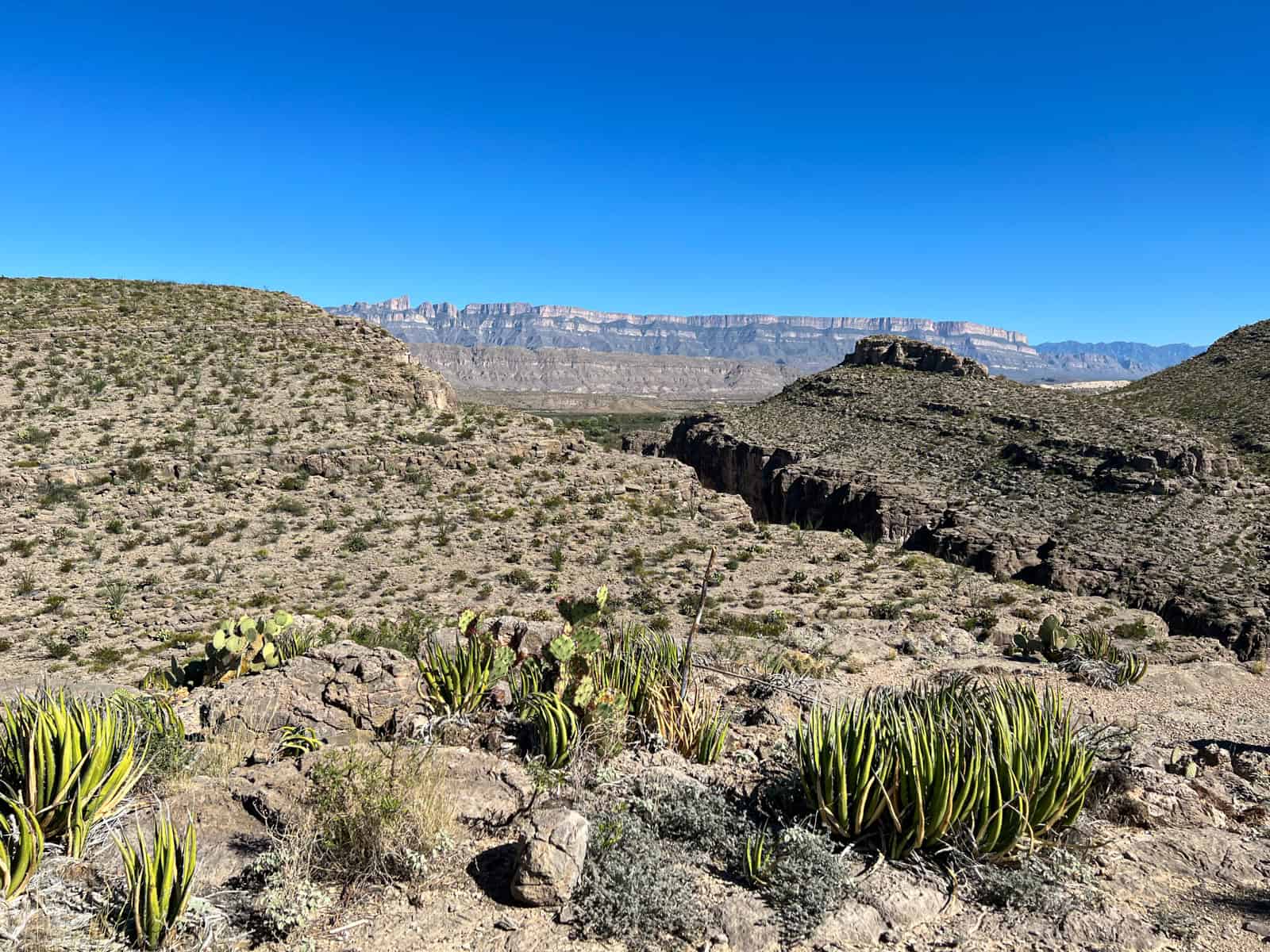 Hot Springs Canyon (middle) and Sierra del Carmen mountains of Mexico in the distance.