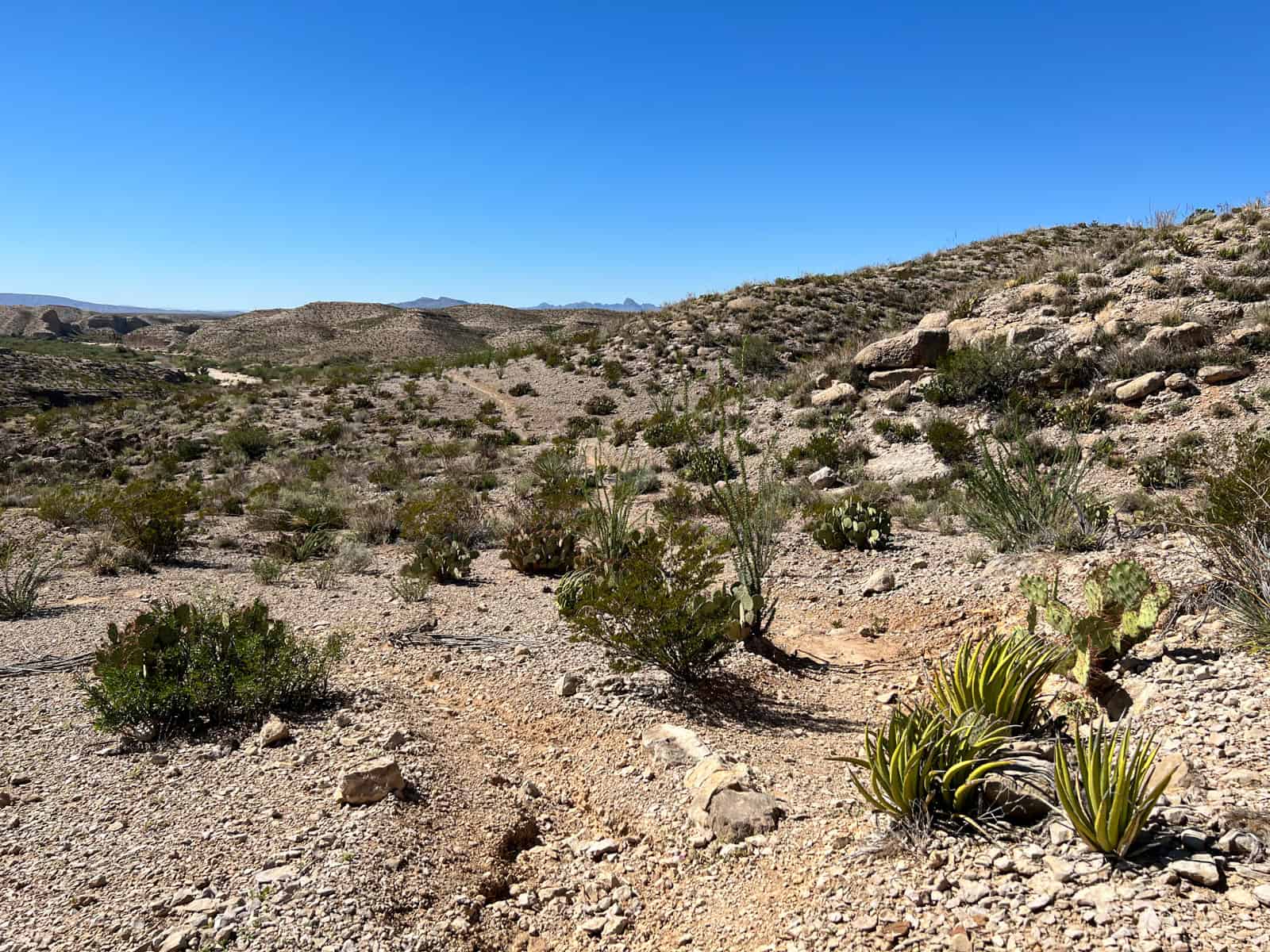 The Hot Springs Canyon Trail The trail was hard to follow at times