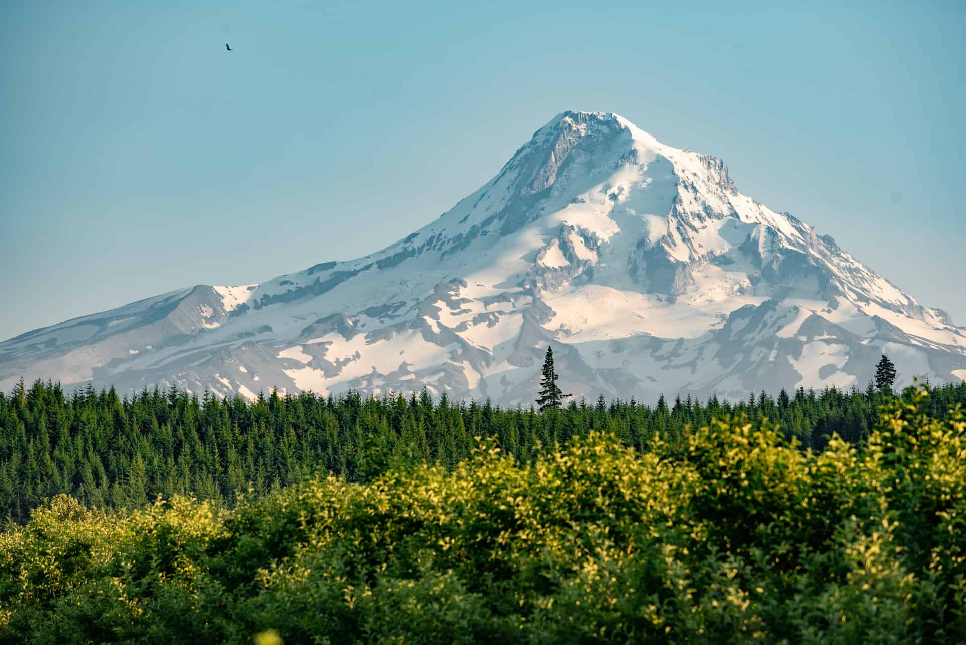 Mt. Hood, OR (photo: Uday Mittal)