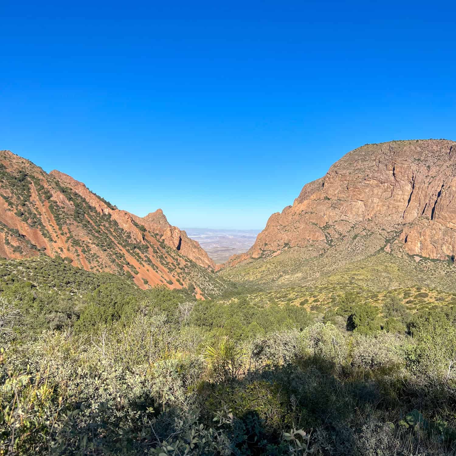 The Chisos Basin offers more than a half-dozen hikes in Big Bend National Park