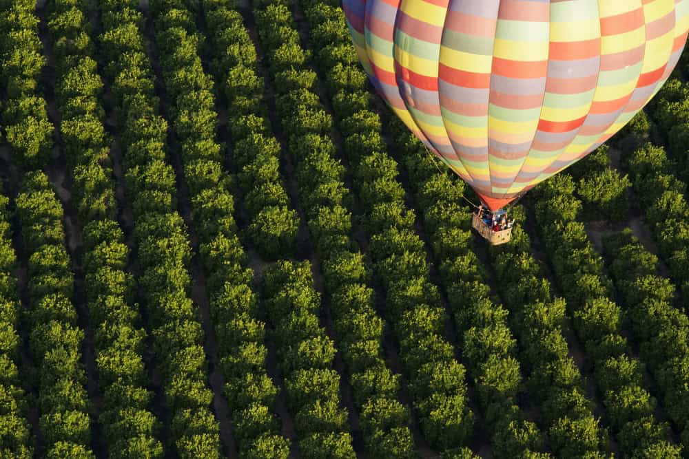 Hot air balloon ride over the vineyards of Temecula