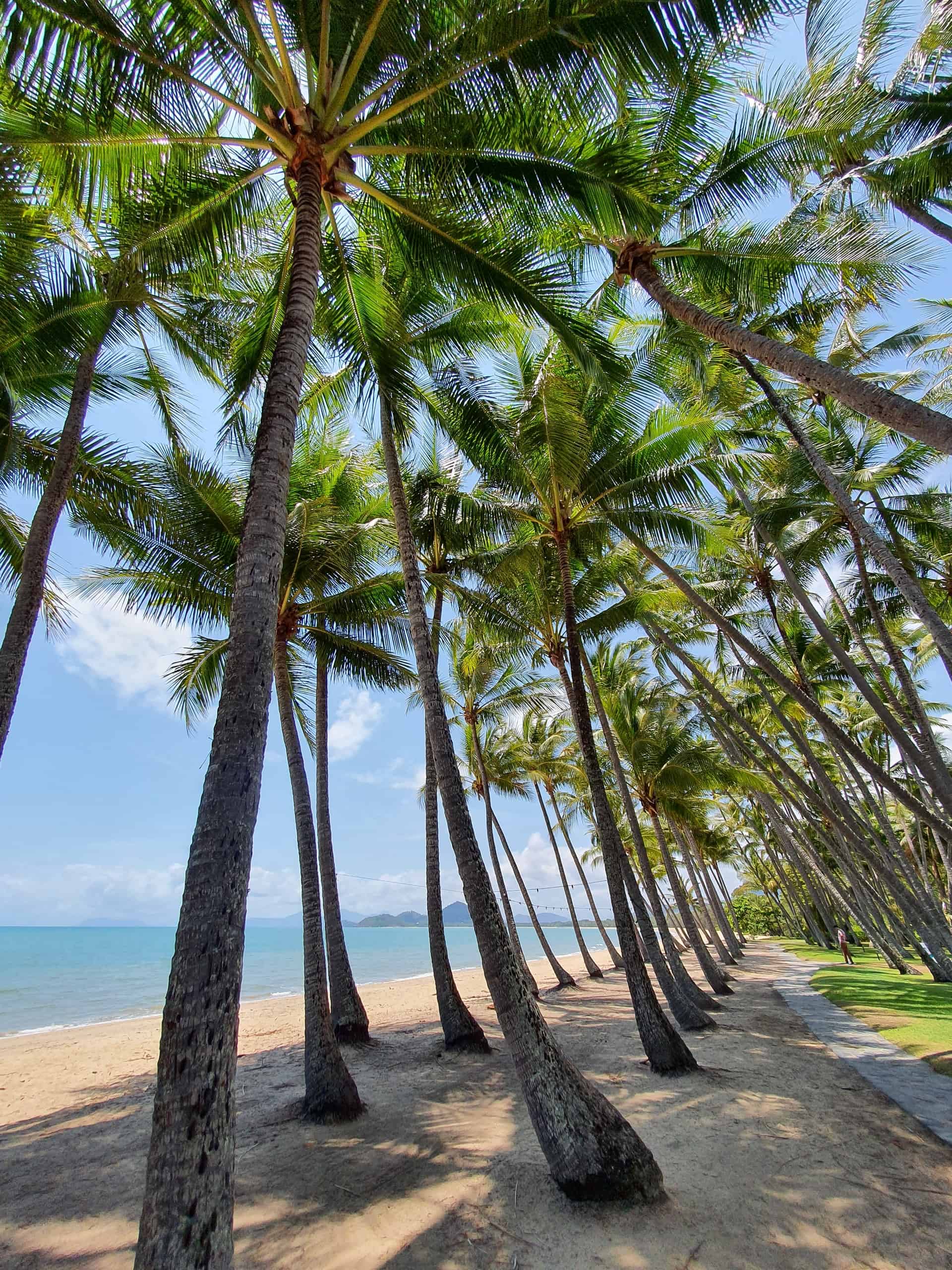 Palm Cove (photo: Matthew de Zen)