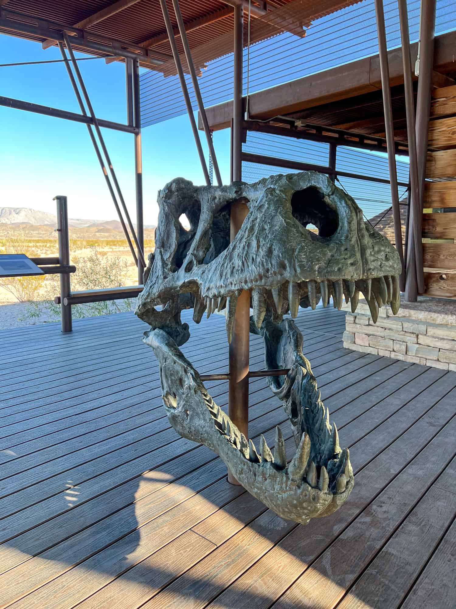 See a T-Rex skull at the fossil discovery center in Big Bend National Park, West Texas