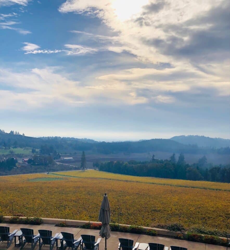 10 Best Wineries in Willamette Valley According to a Sommelier