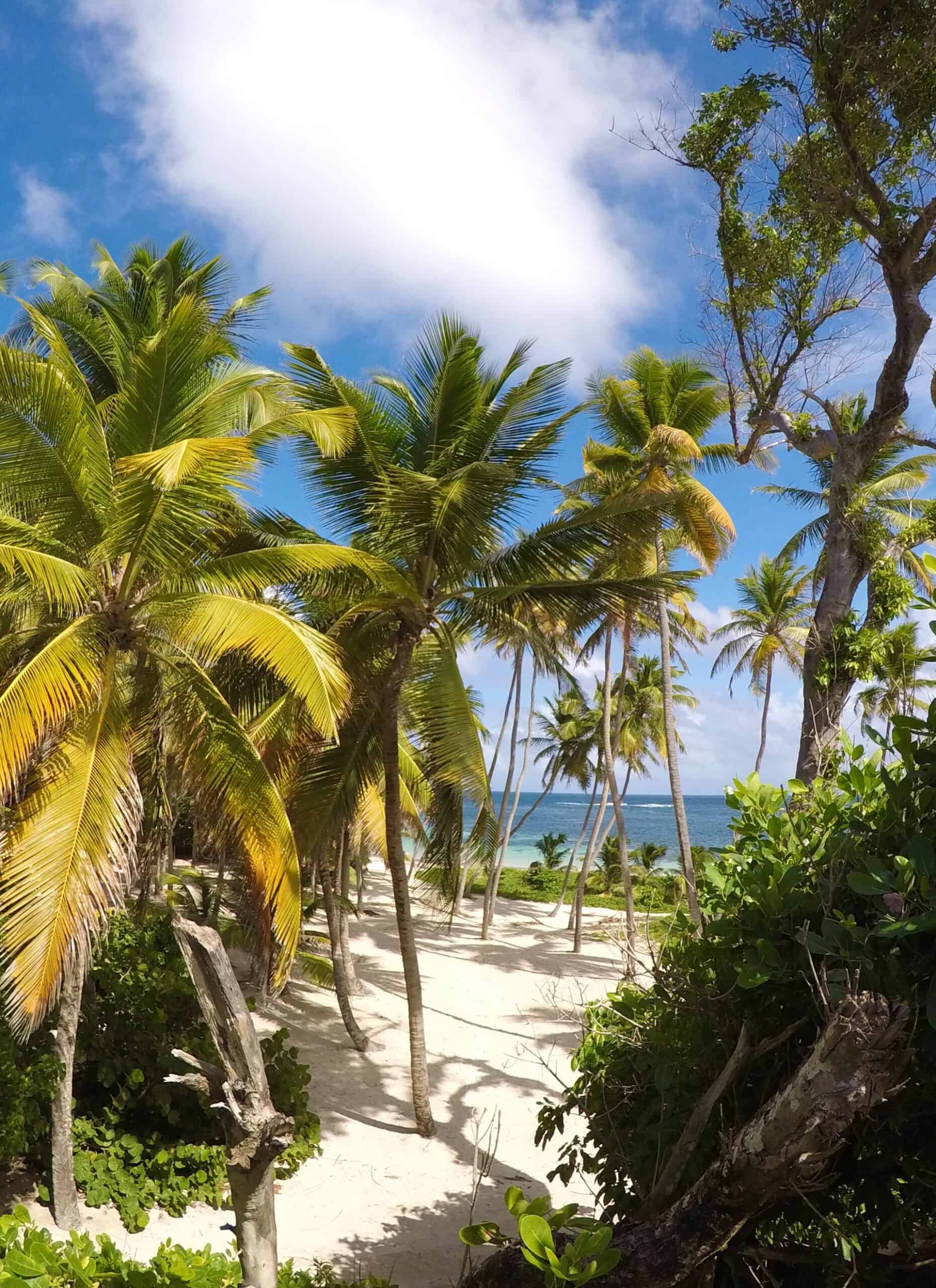 Beach in Sainte-Anne (photo: Teddy Charti)