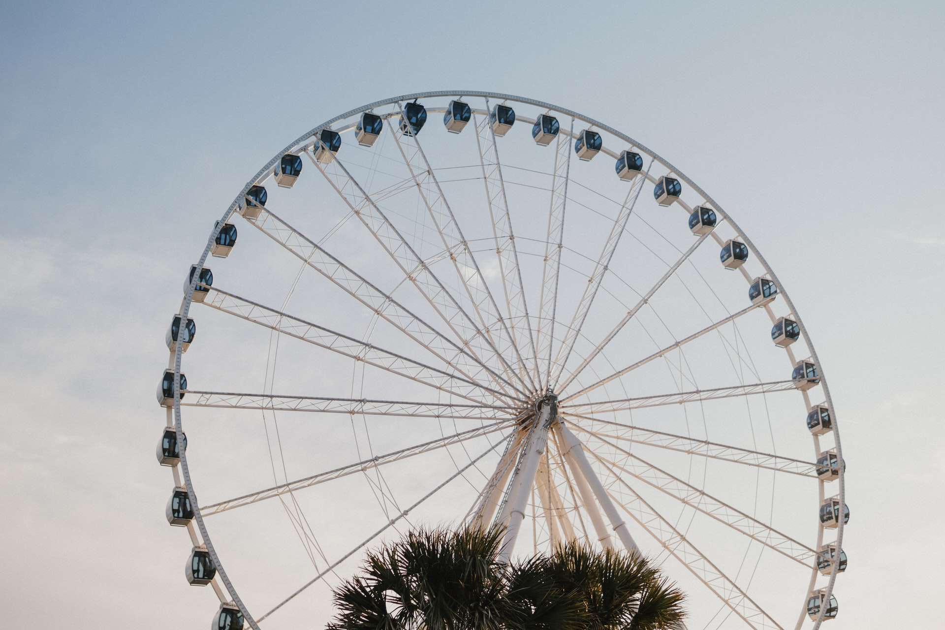 SkyWheel (photo: Tevin Trinh)