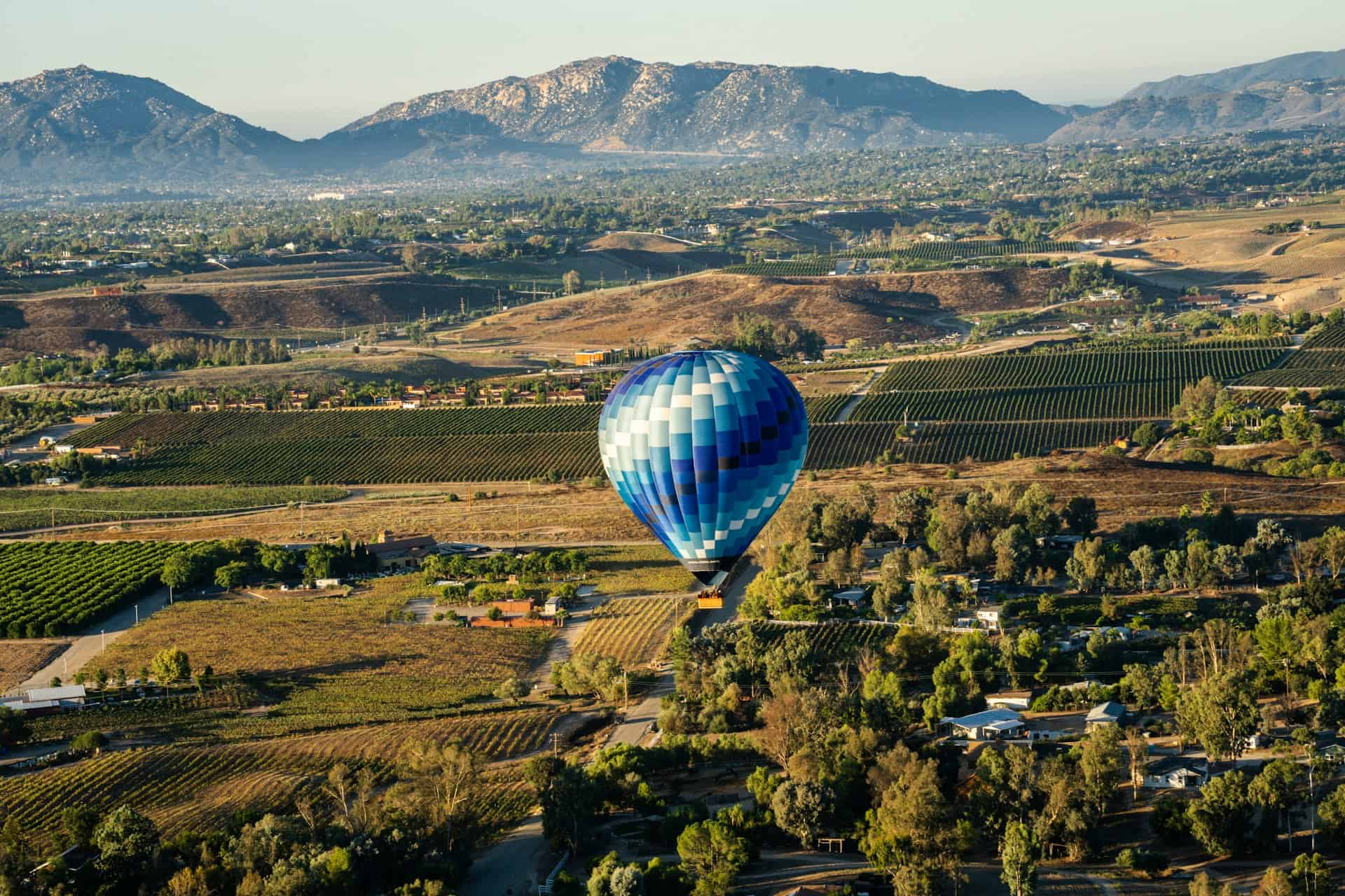 Hot air balloon over the vineyards (photo by Jainam Sheth).