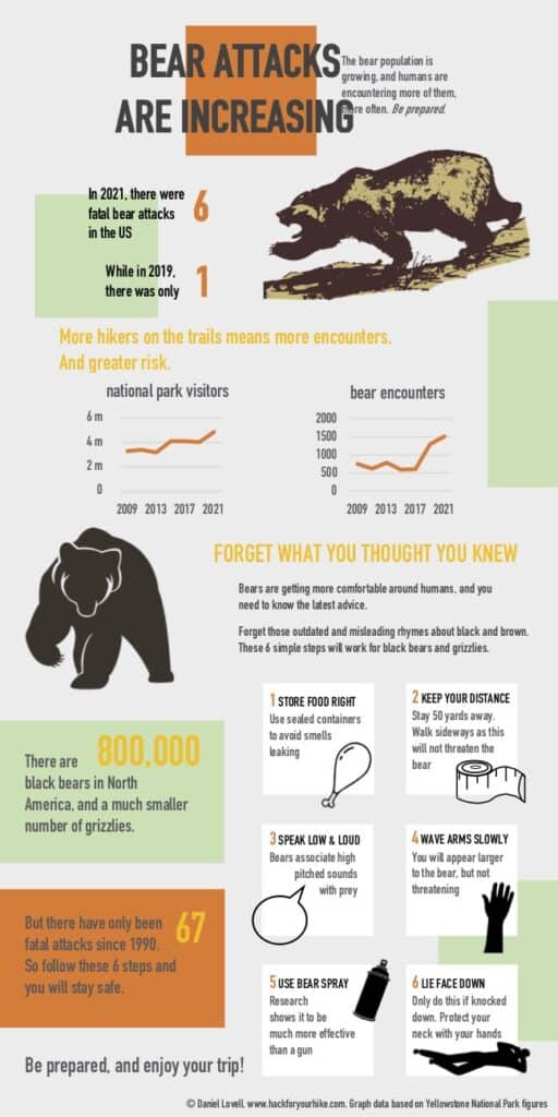 What To Do If You See a Bear While Hiking or Camping