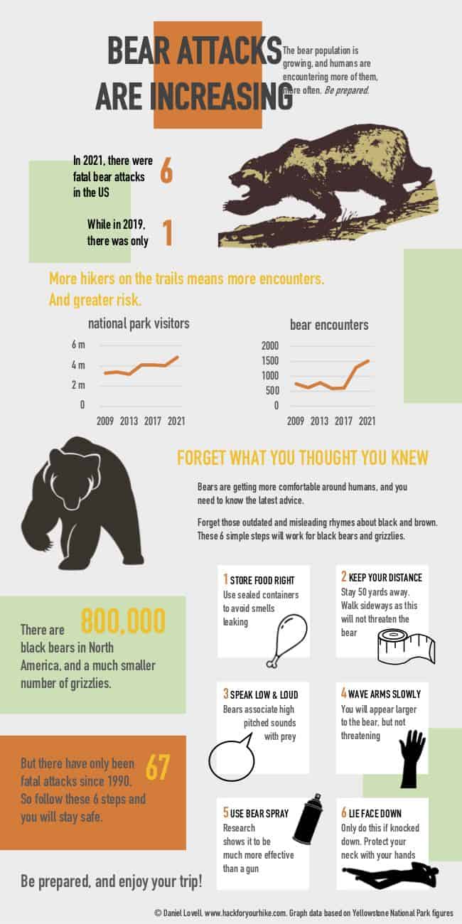 An infographic with tips on the best ways to handle a bear encounter.