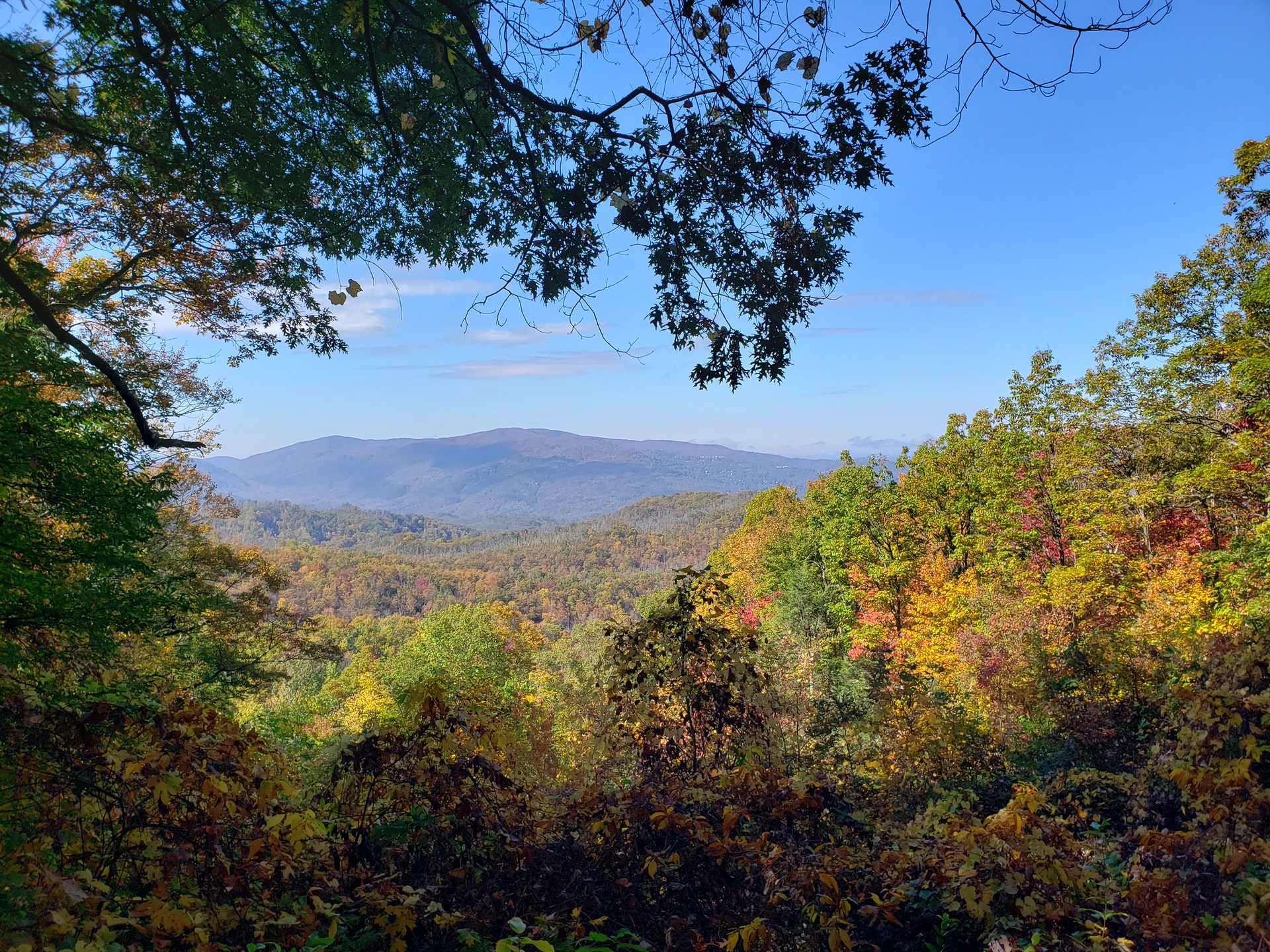 View from Roaring Fork Motor Nature Trail (photo: Angela Loria)