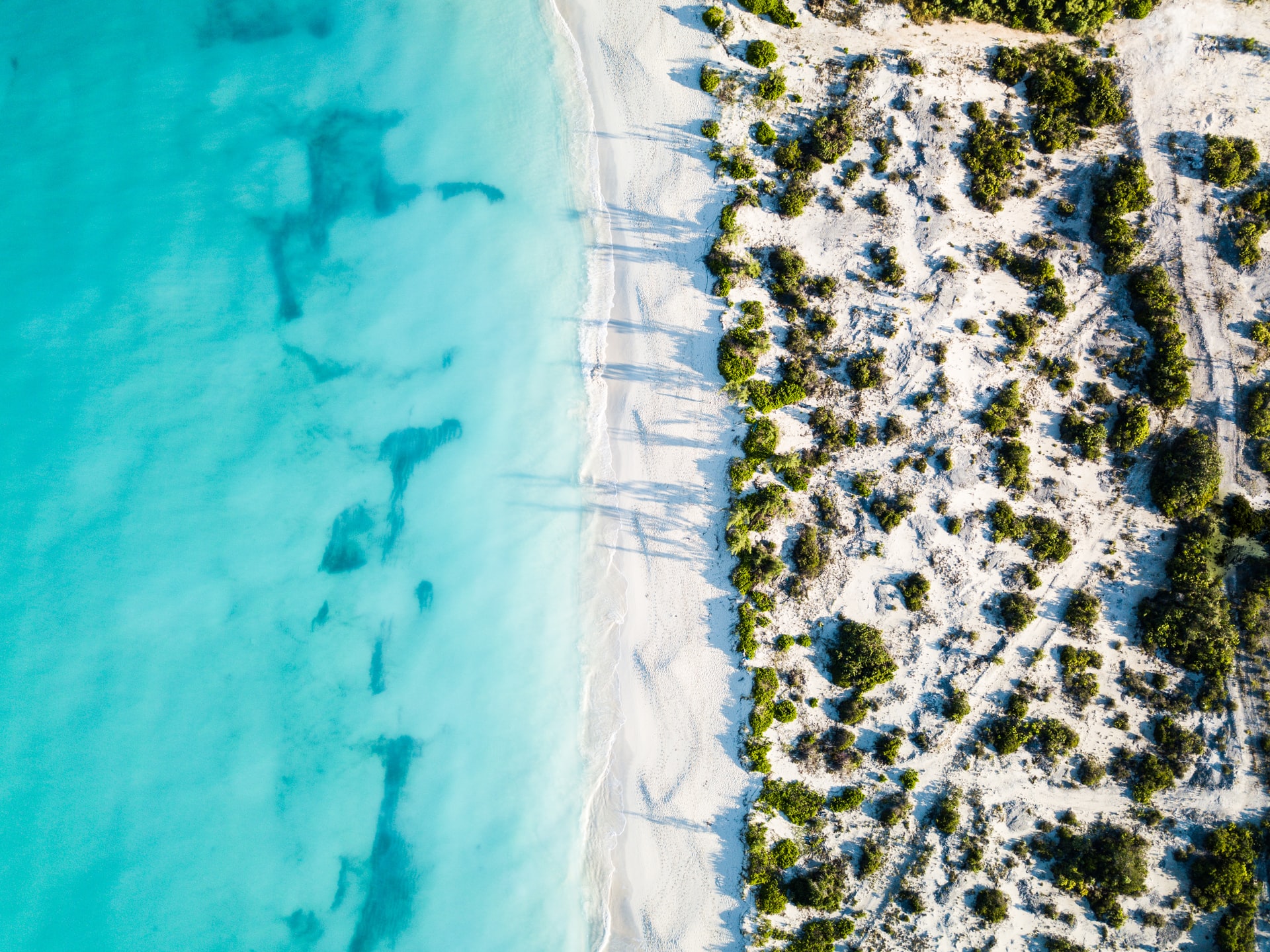 Playa en Turks y Caicos, un país caribeño que todo el mundo debería visitar una vez.  (foto: Romello Williams)