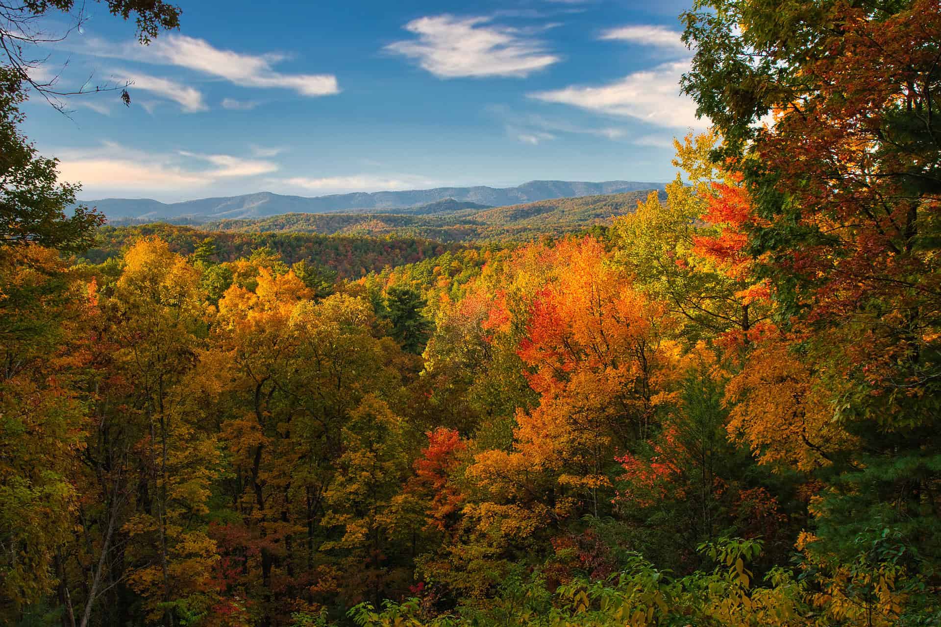 Fall colors in the Great Smoky Mountains (photo: Simon)