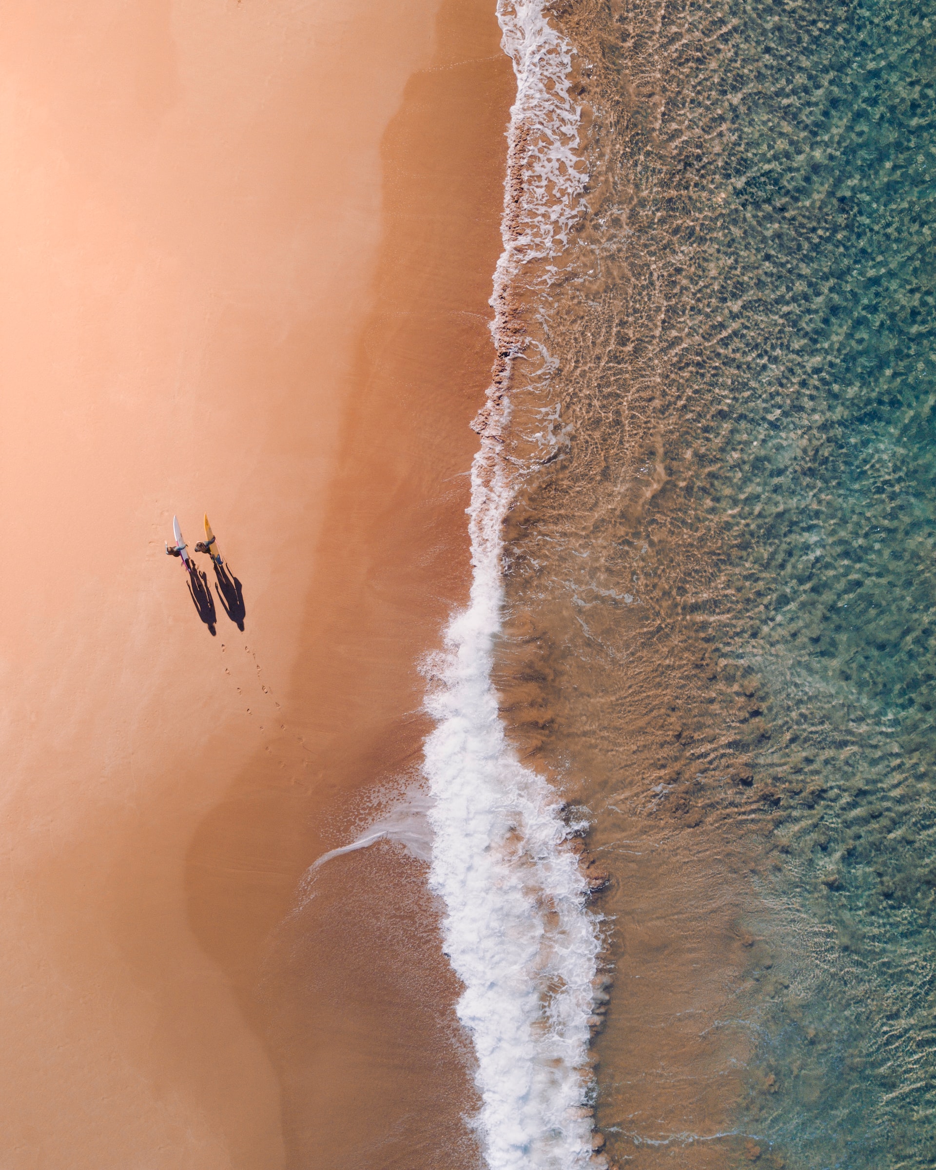 Surfers on Avalon Beach (photo: Lachlan Dempsey)