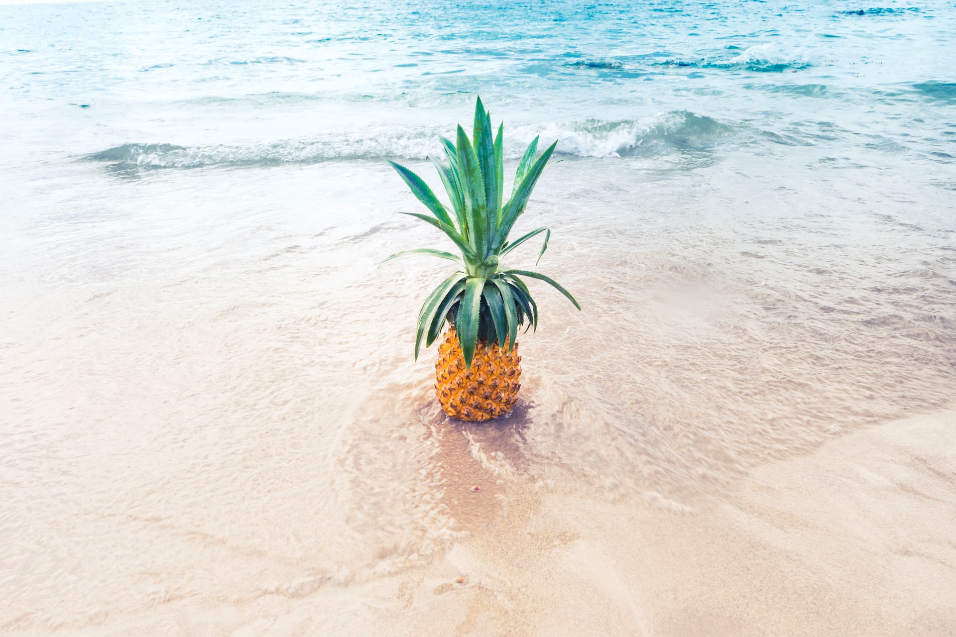 Pineapple on the beach (photo: Evi Radauscher)
