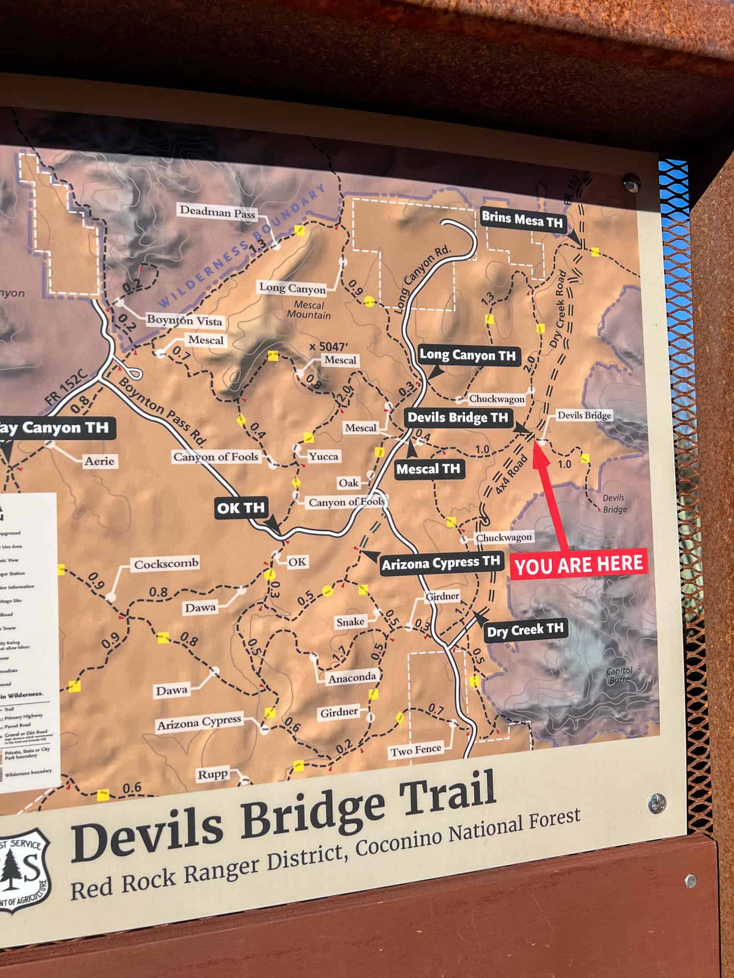 Devils Bridge Trail map in the Coconino National Forest