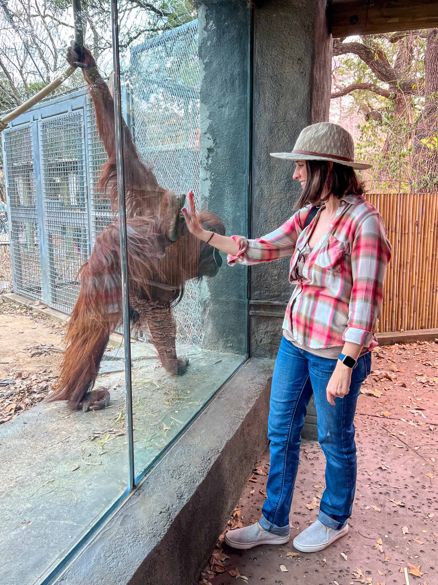 Kel with an orangutan at Cameron Park Zoo in Waco, Texas