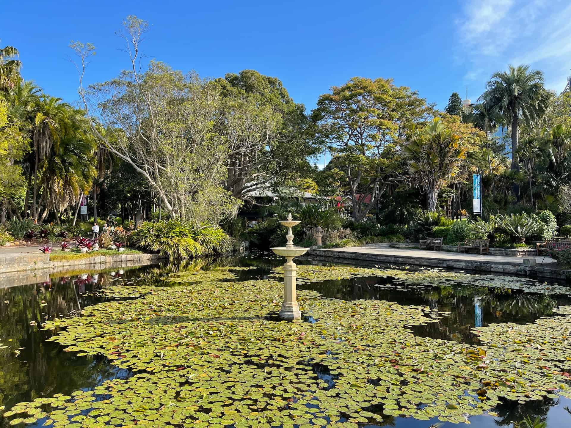 Royal Botanic Gardens in Sydney, Australia (photo: Andy Wang)