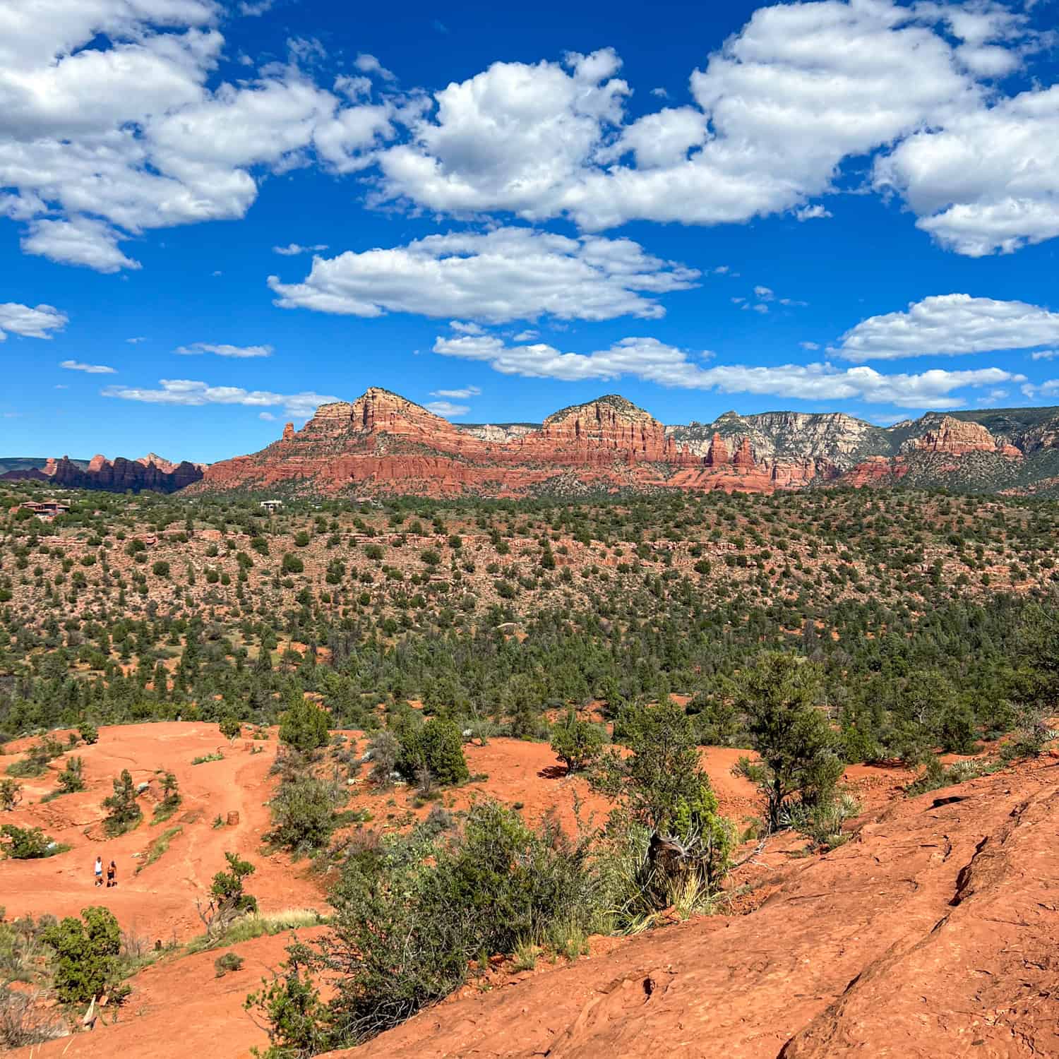 View from Cathedral Rock