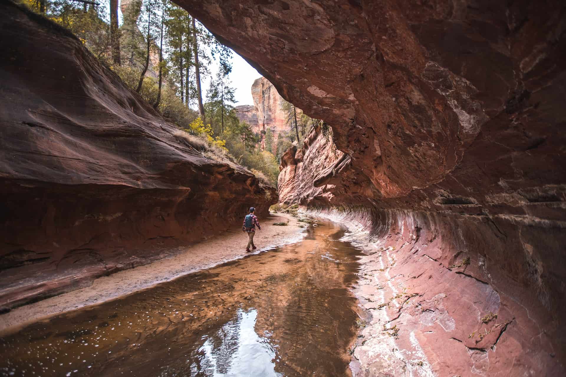 West Fork Oak Creek Trail (photo: Jeremy Bishop)