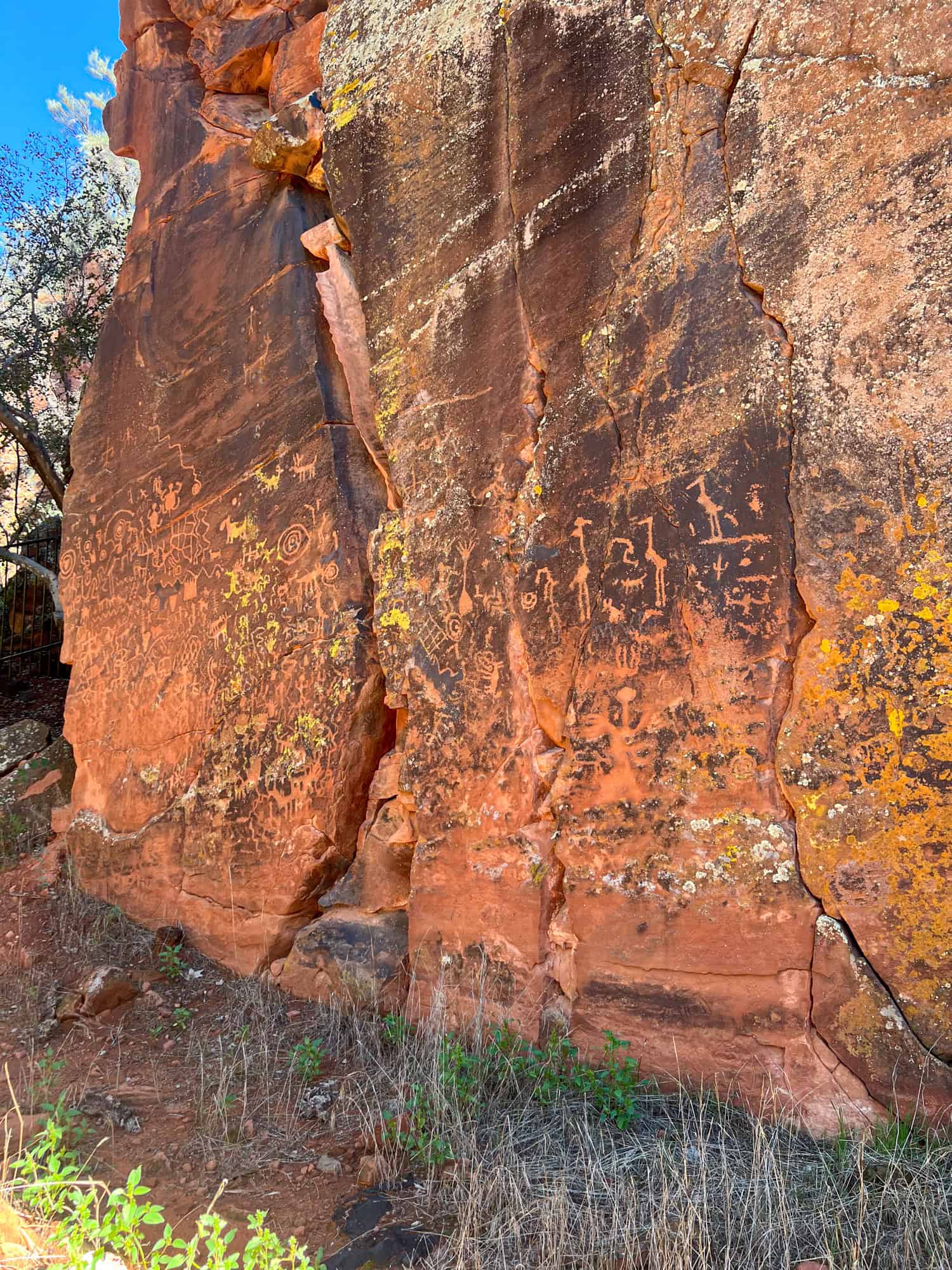 800-year-old petroglyphs at V Bar V Ranch