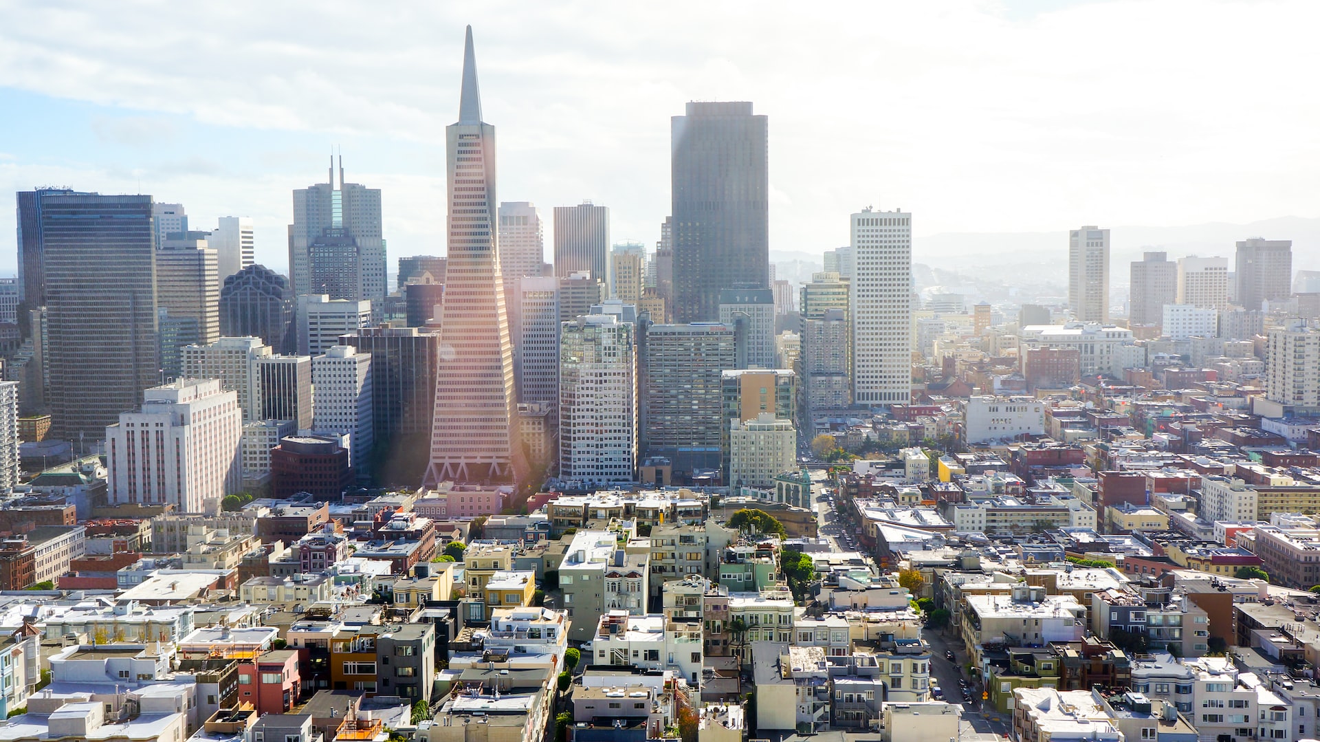 San Francisco skyline (photo: Lili Popper)