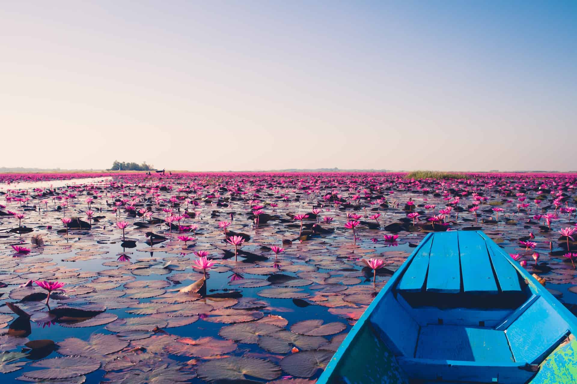 Sunrise on a boat in the Sea of Red Lotuses - Udon Thani, Thailand (photo: Georgios Kaleadis)