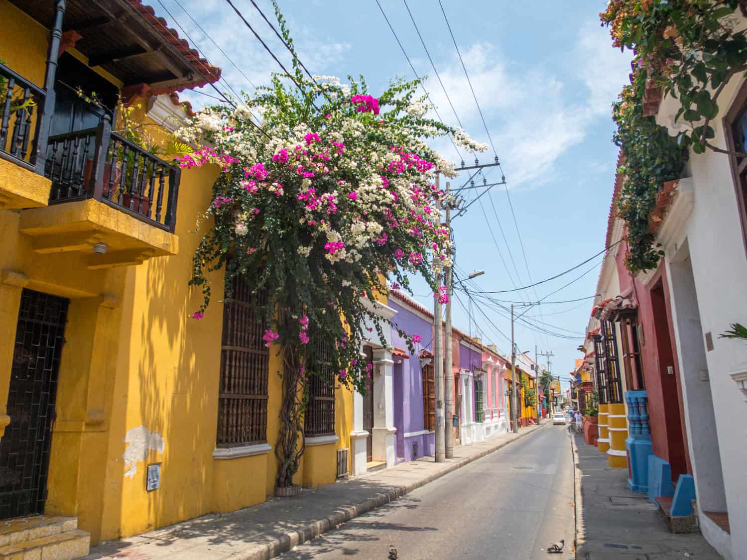 Best Things To Do In Cartagena