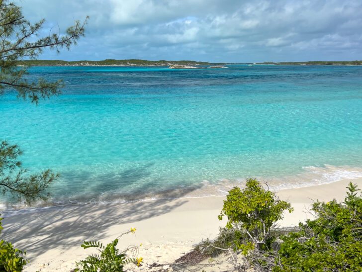 Beach in The Bahamas (photo: Dave Lee)