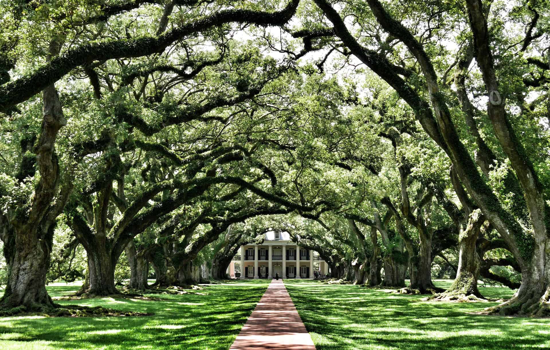 Oak Alley Plantation (photo: Dirk Spijkers)