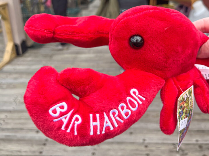Bar Harbor lobster toy